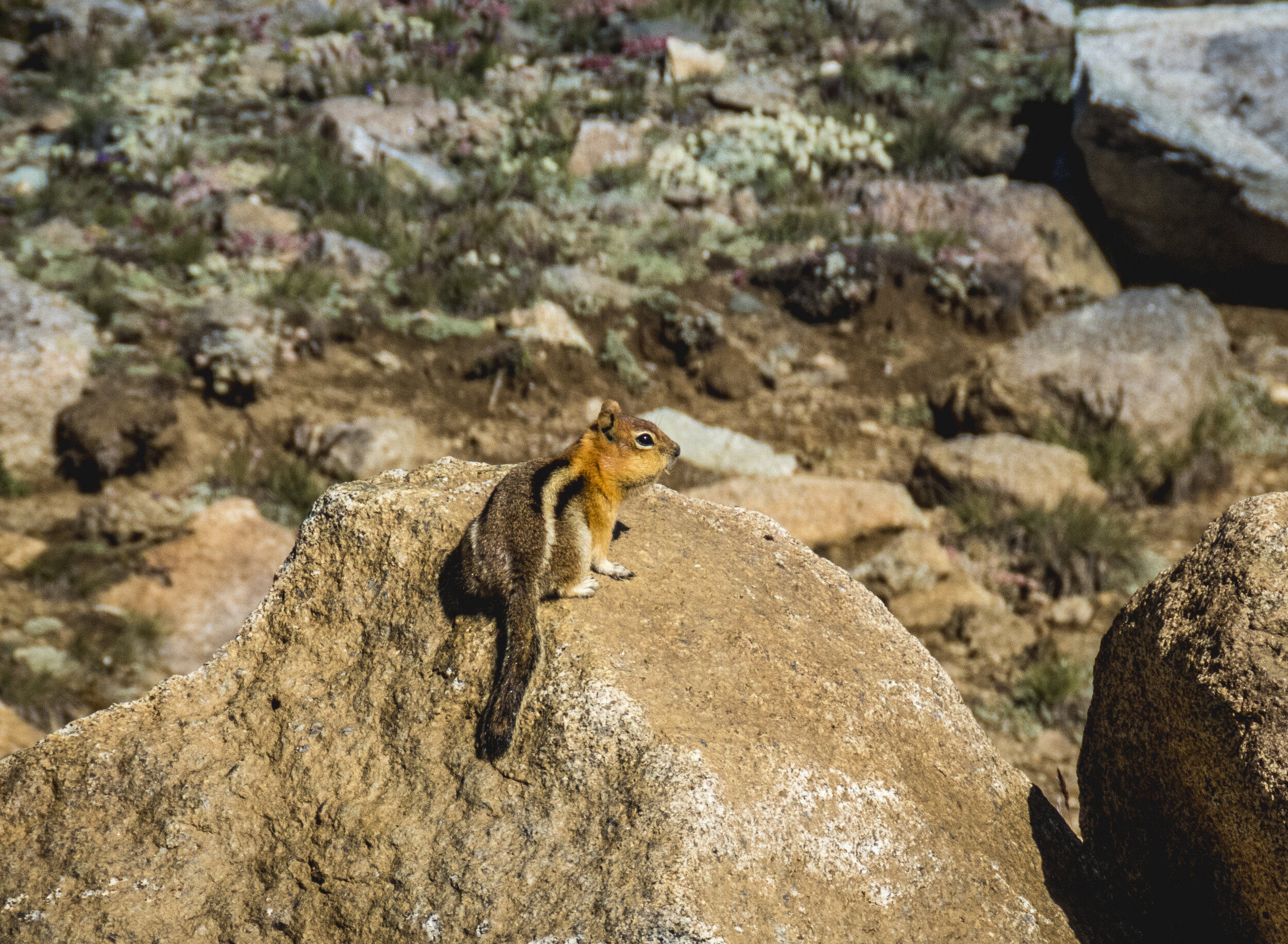 Photography Trip - Day 4 - 019.jpg