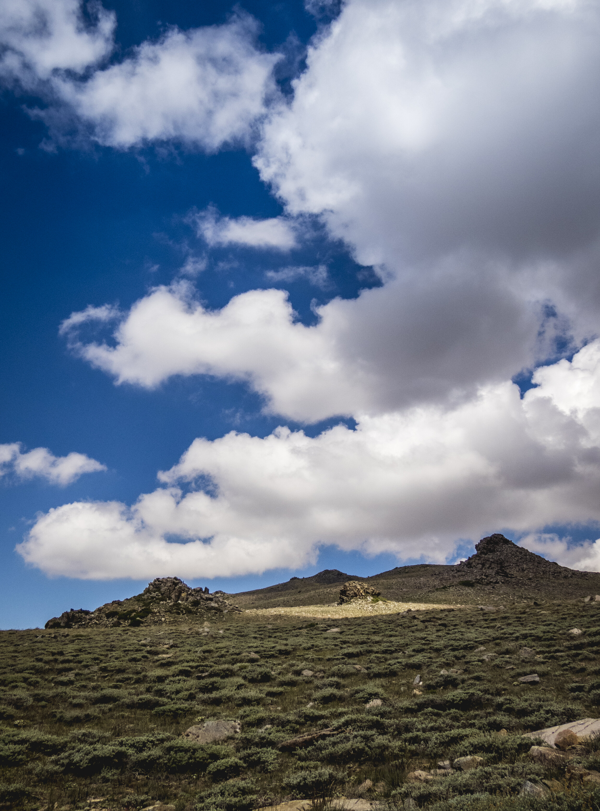 Photography Trip - Day 4 - 029.jpg