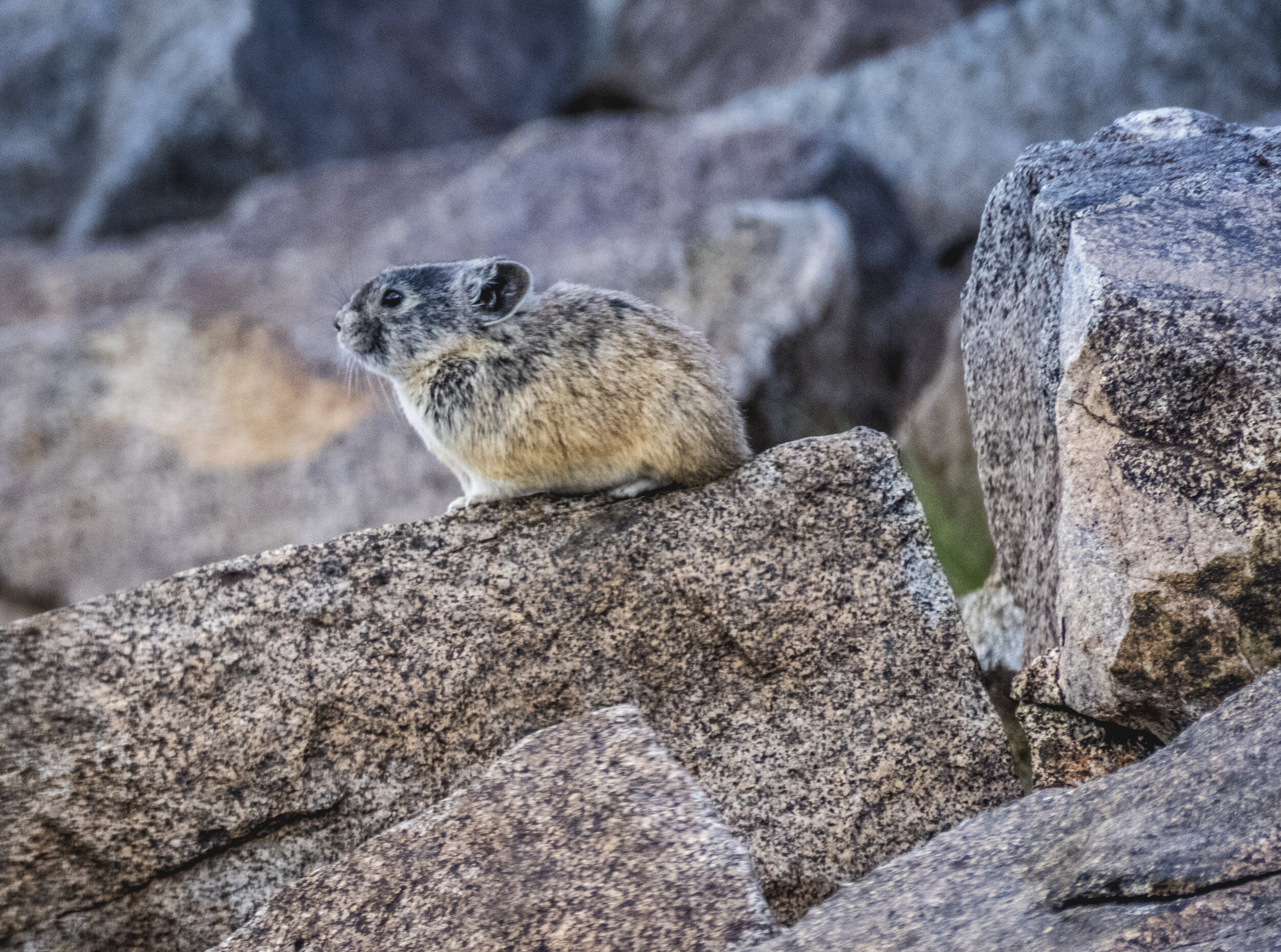 Photography Trip - Day 4 - 028.jpg