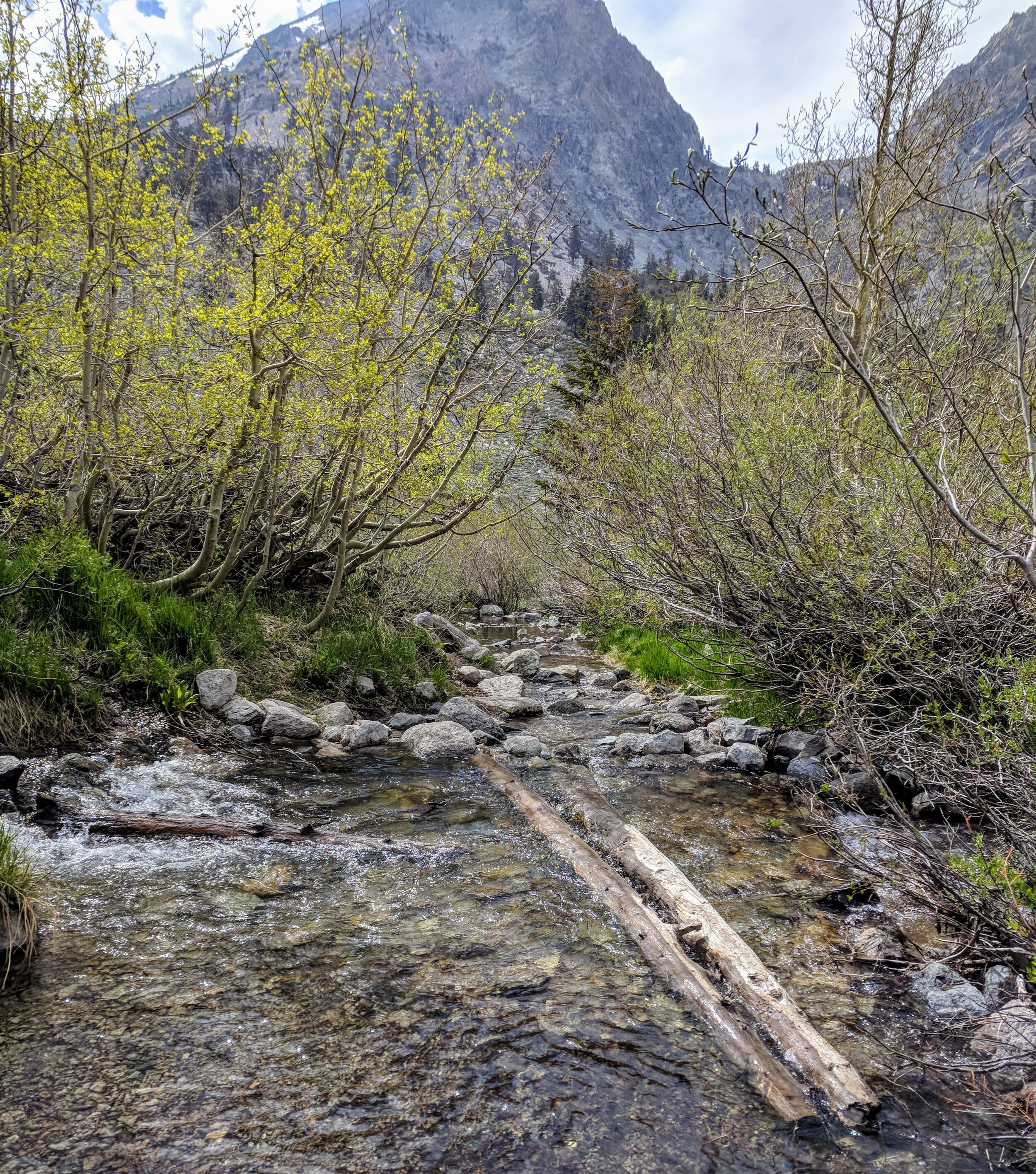 IMG_20180530_155449.jpg