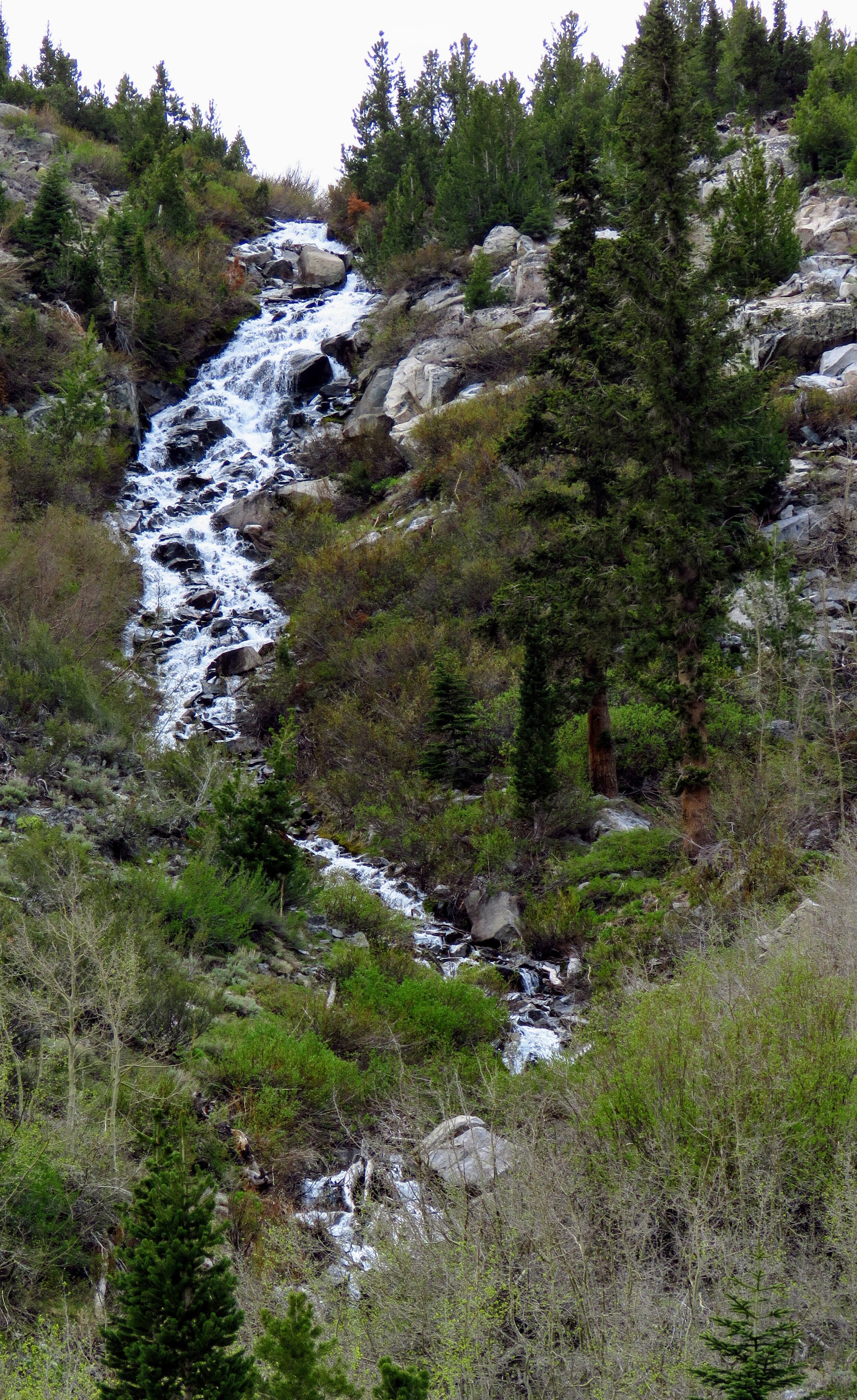 IMG_1346.jpg