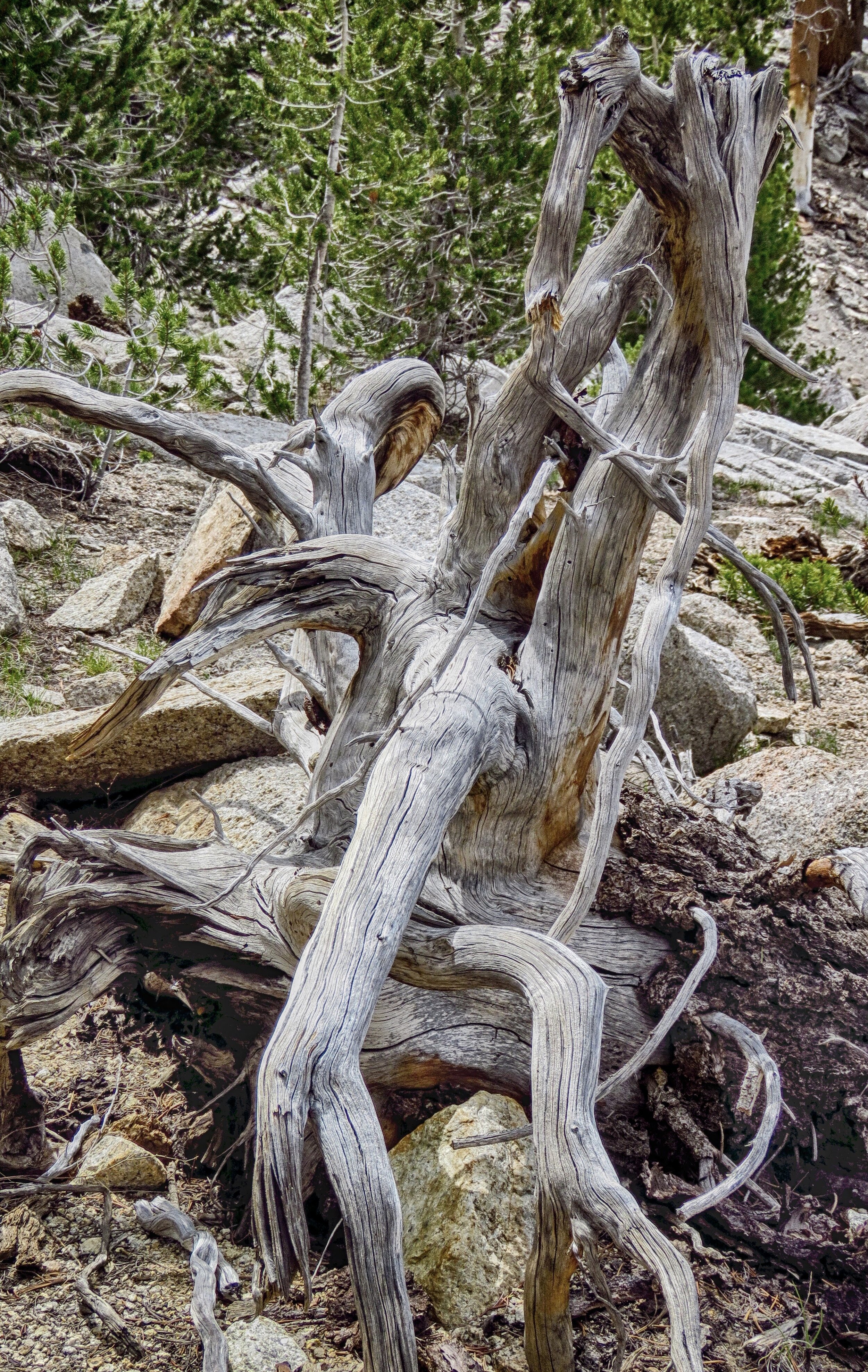 IMG_1417-HDR.jpg