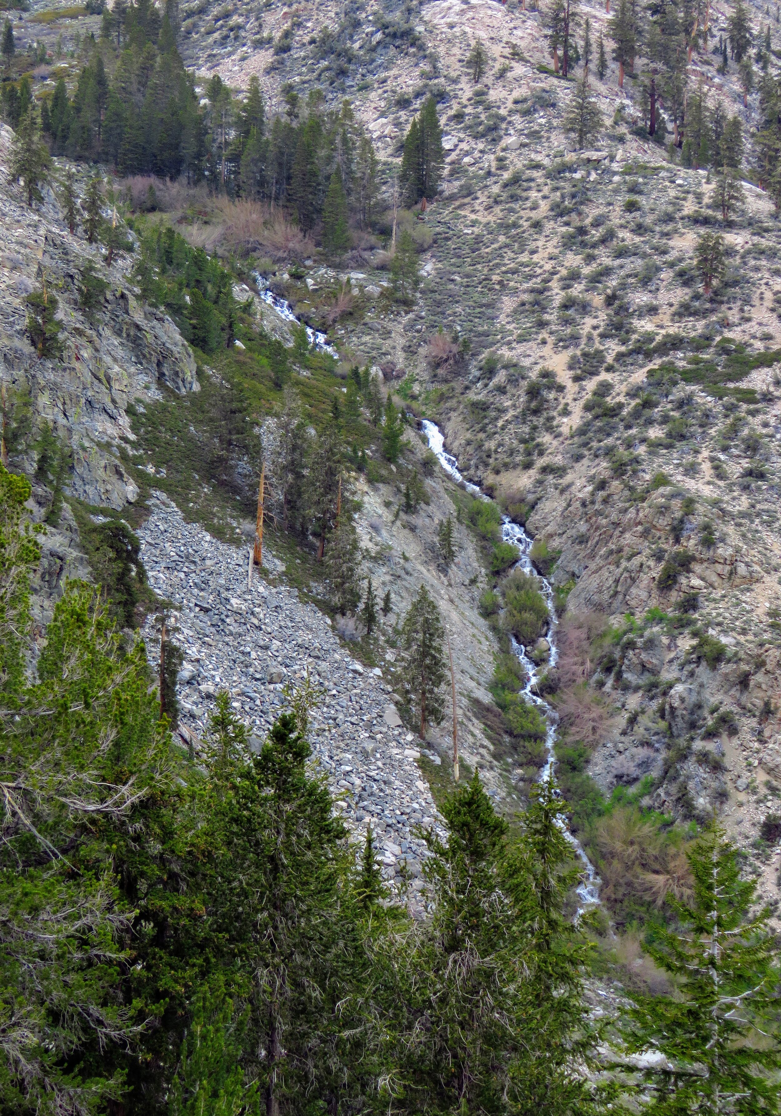 IMG_1361.jpg