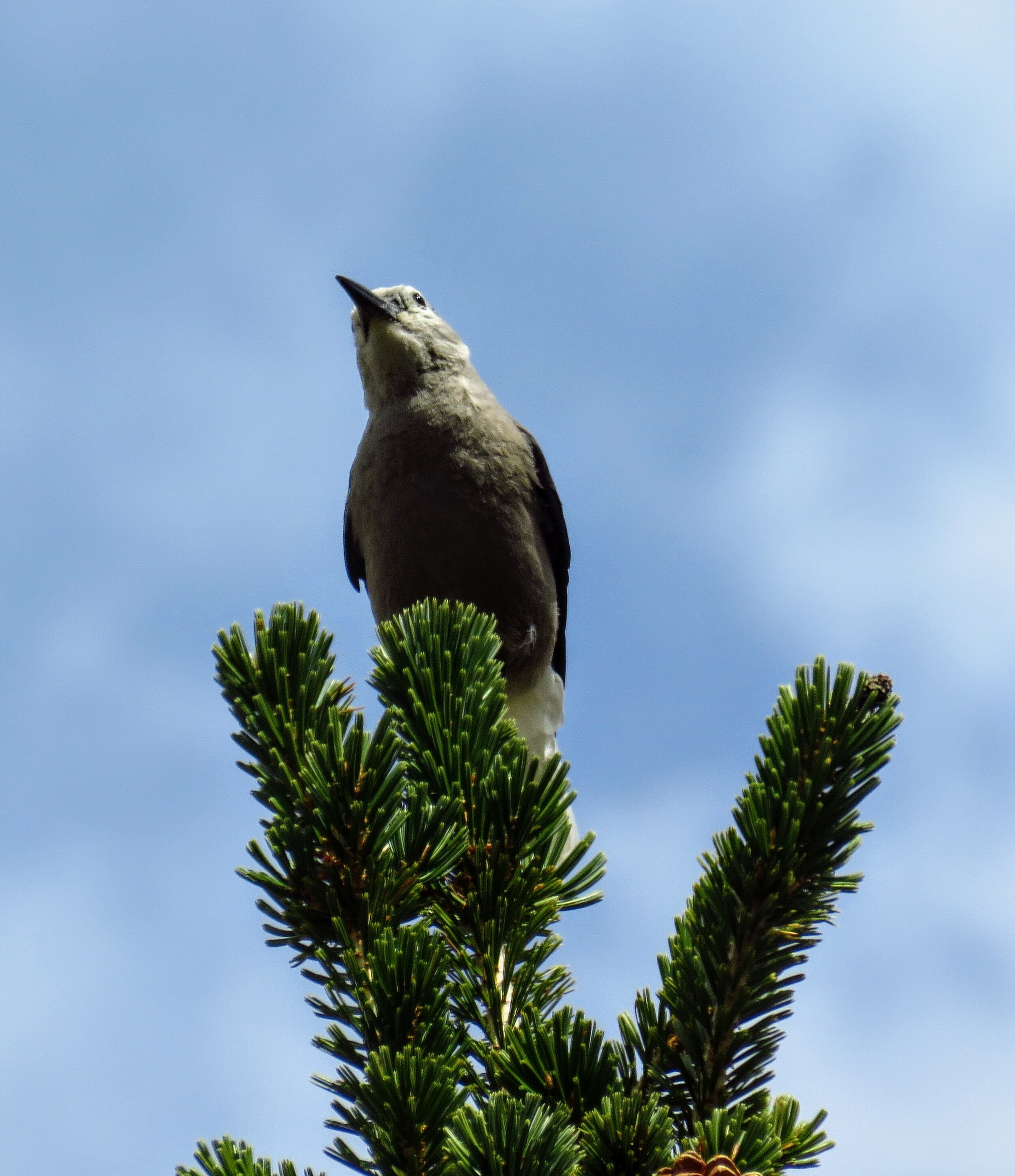 IMG_1682.jpg