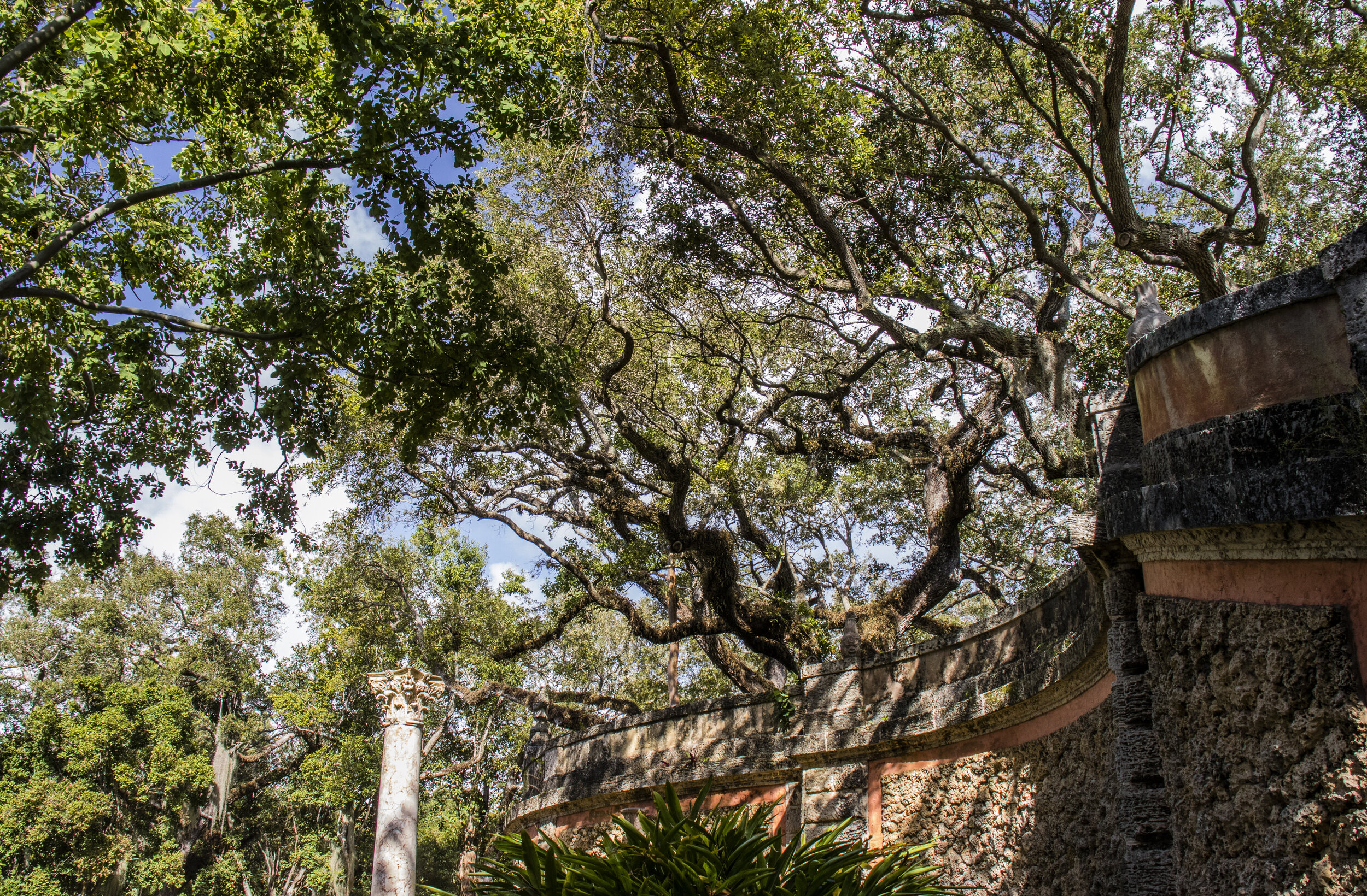 Vizcaya - 062.jpg