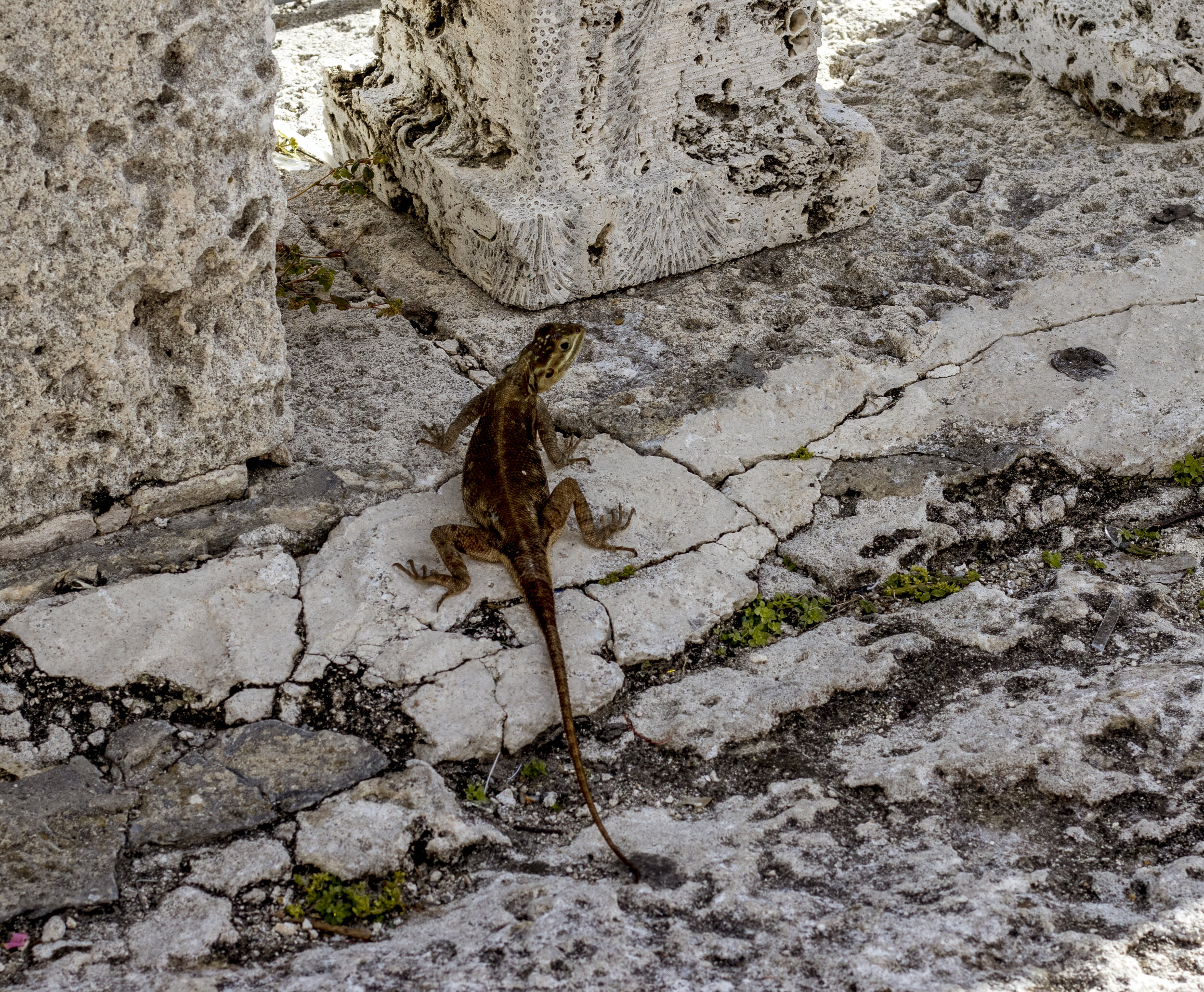 Vizcaya - 083.jpg