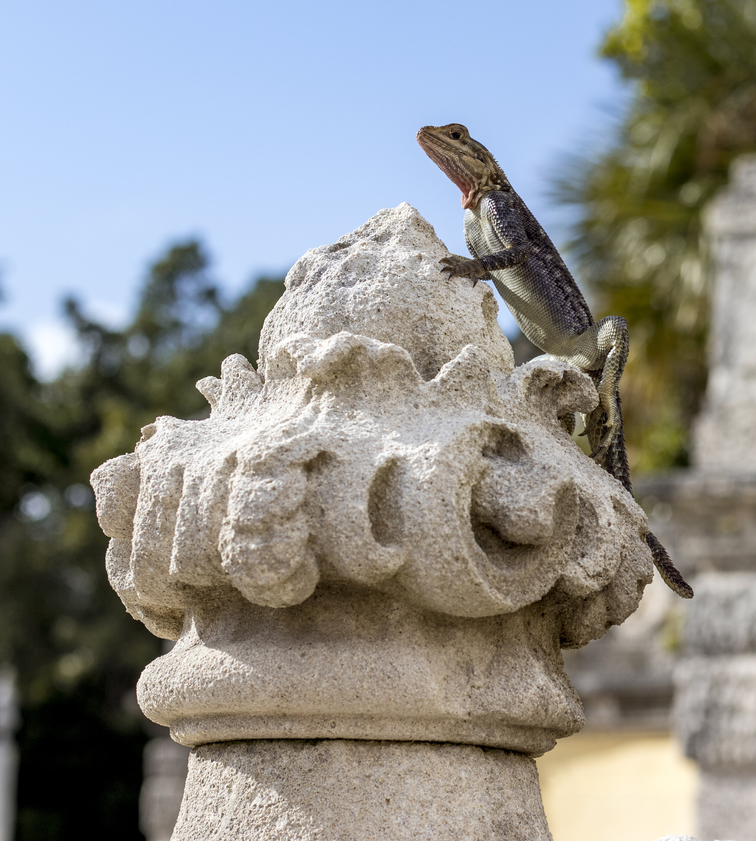 Vizcaya - 086.jpg