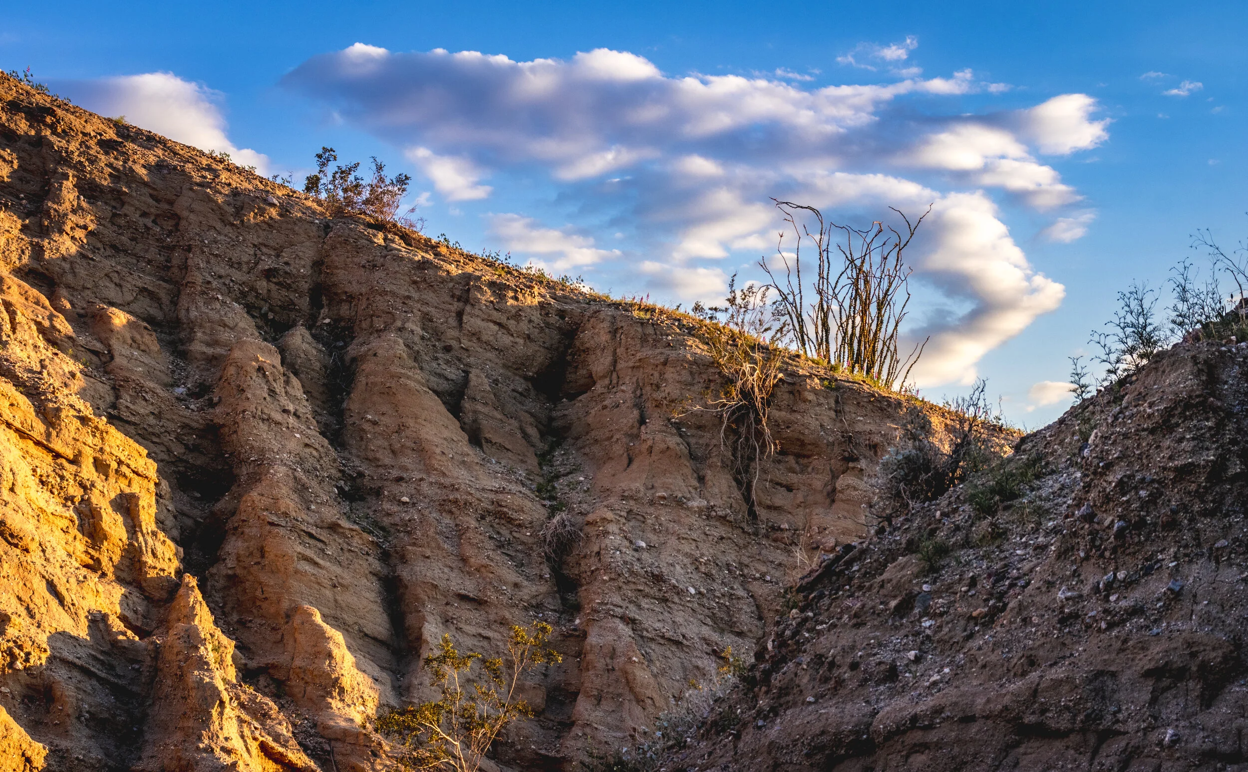 Anza Borrego - 073.jpg