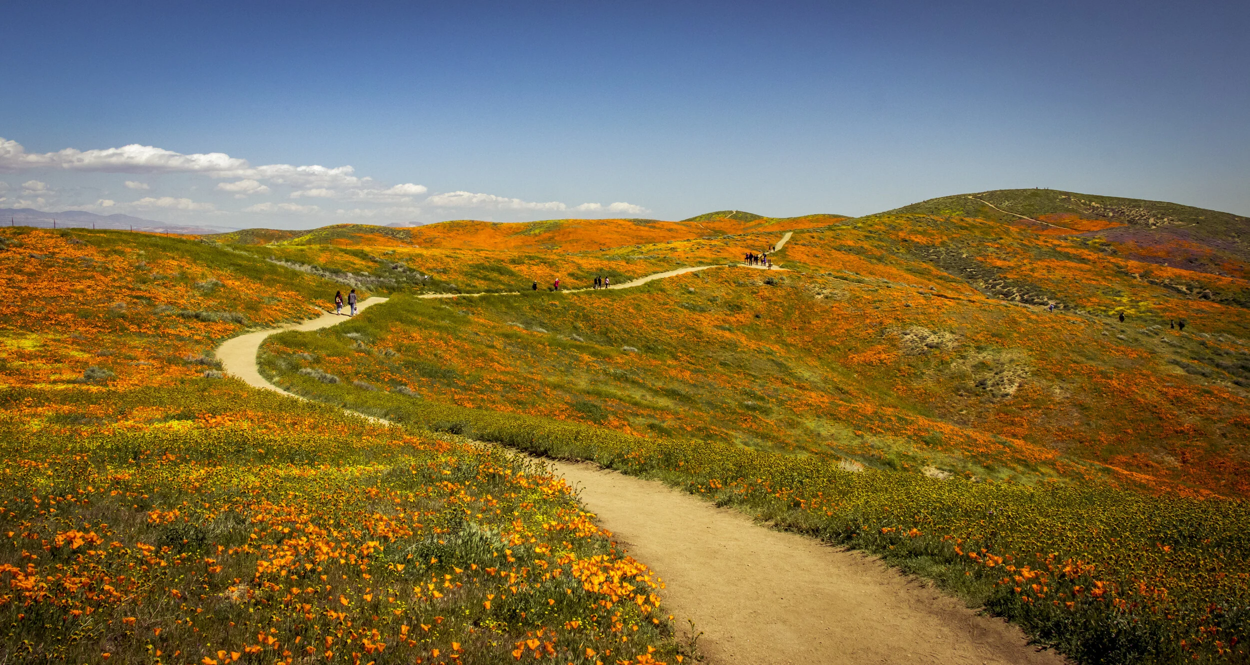 Antelope Valley - Trip 2 - 062.jpg
