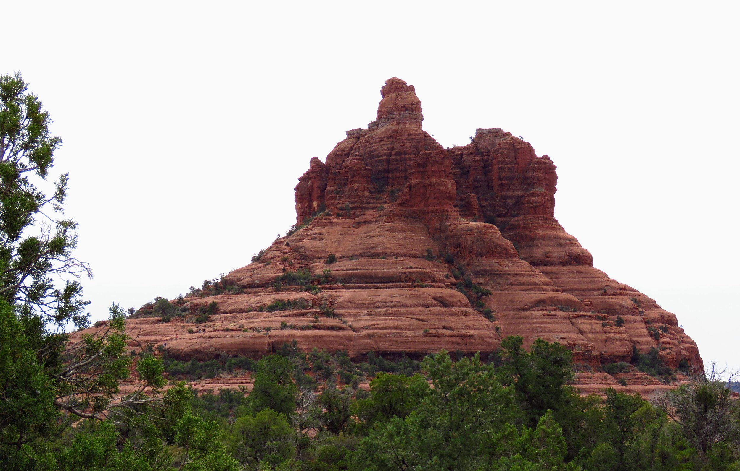 IMG_9885.jpg