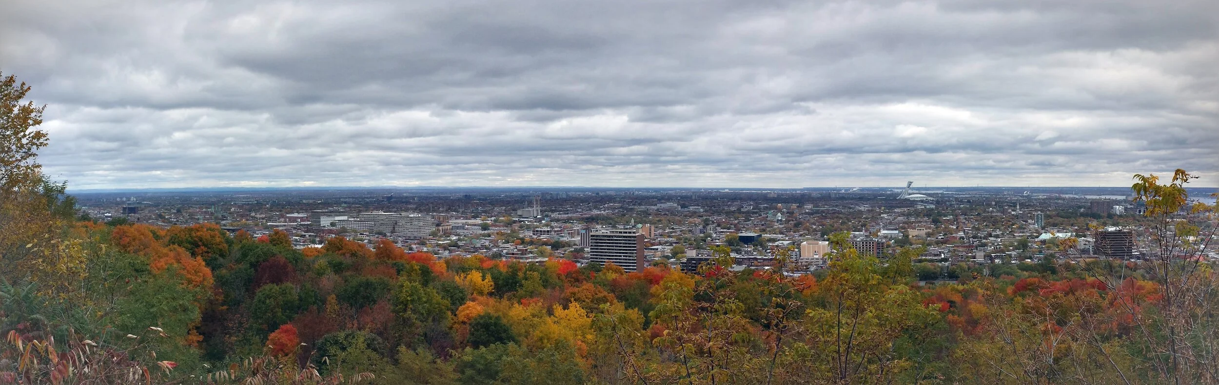 2015-10-16 11.57.33-1-PANO.jpg