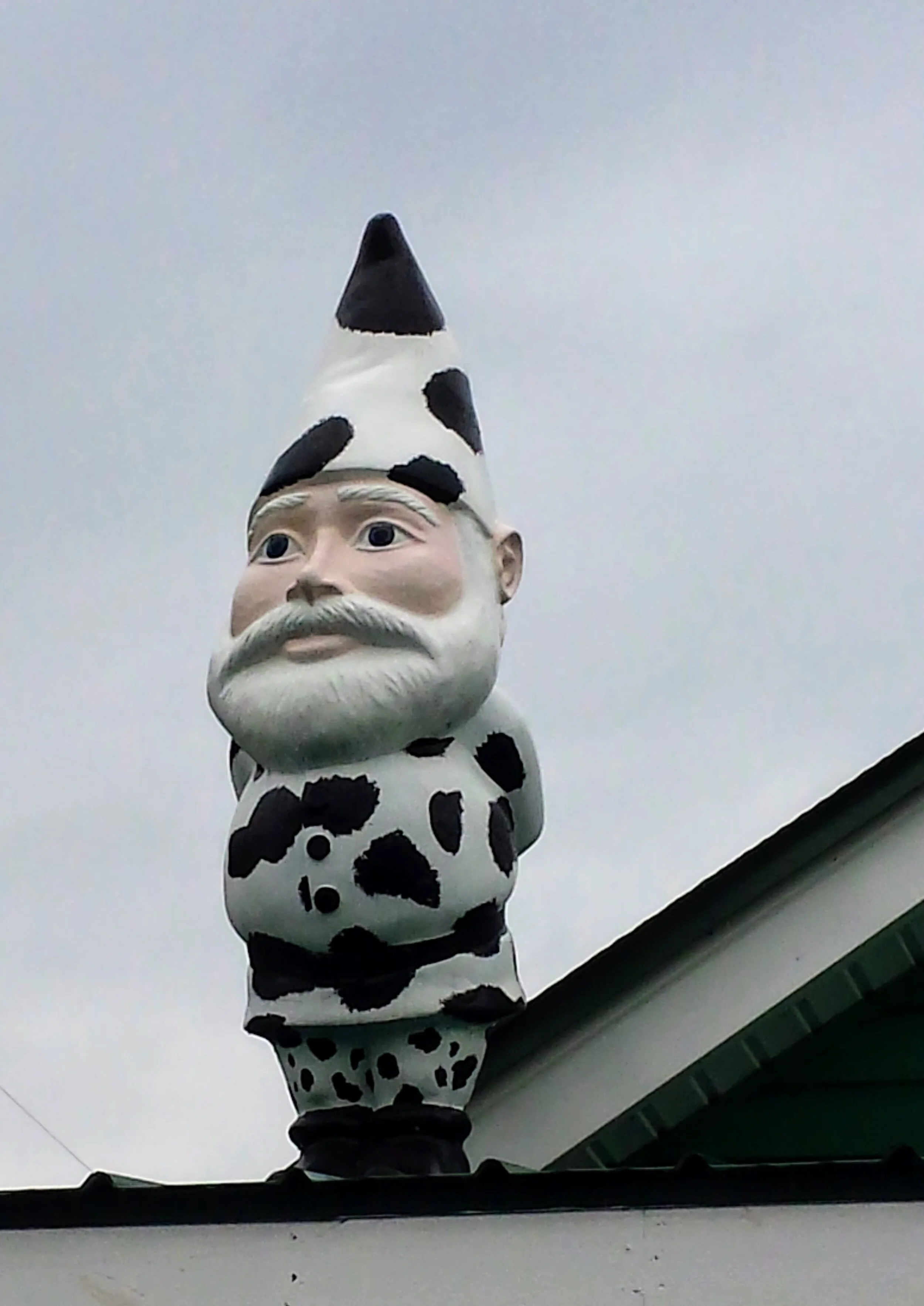 2015-10-09 14.27.03.jpg