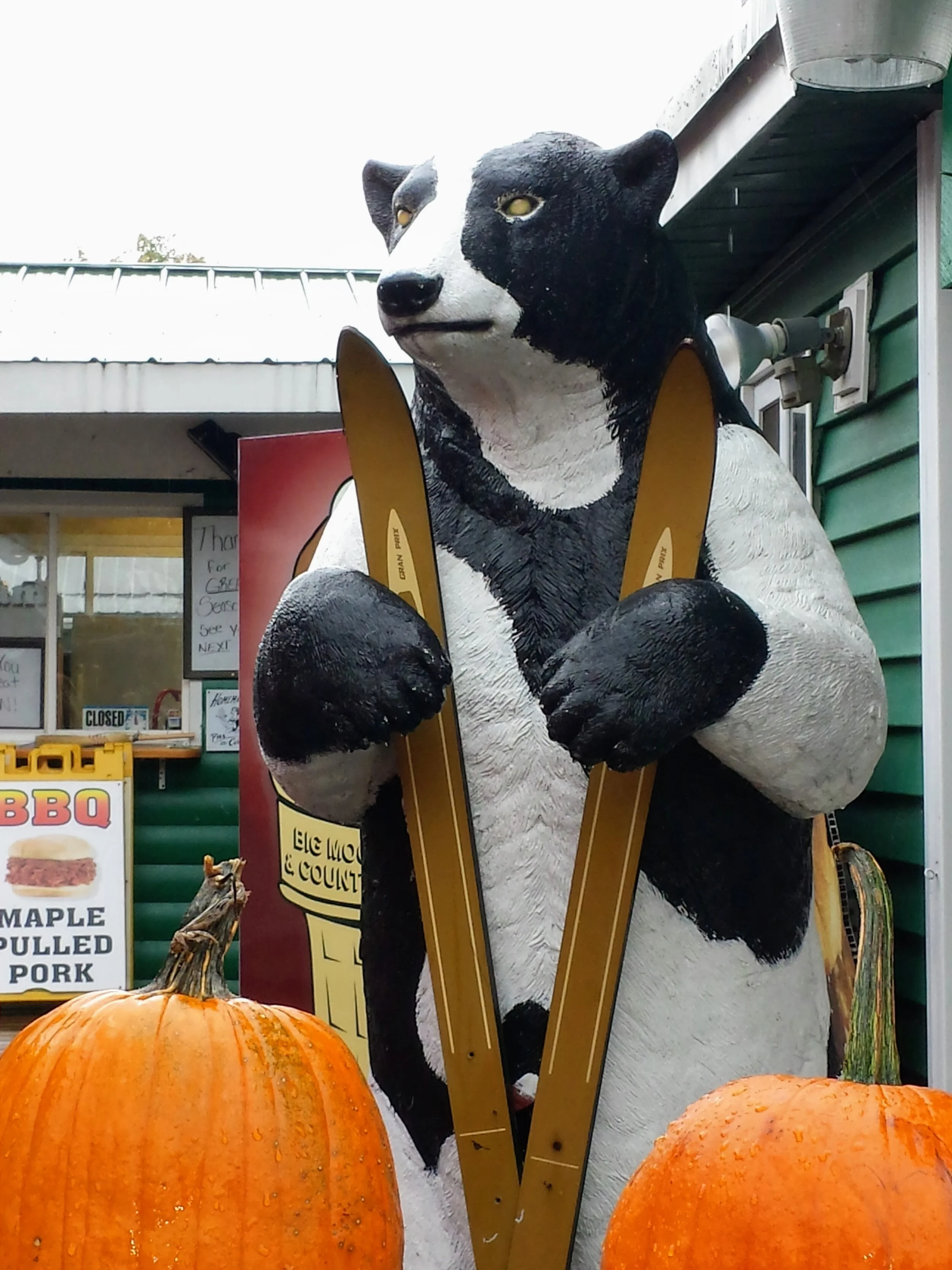 2015-10-09 14.25.32.jpg
