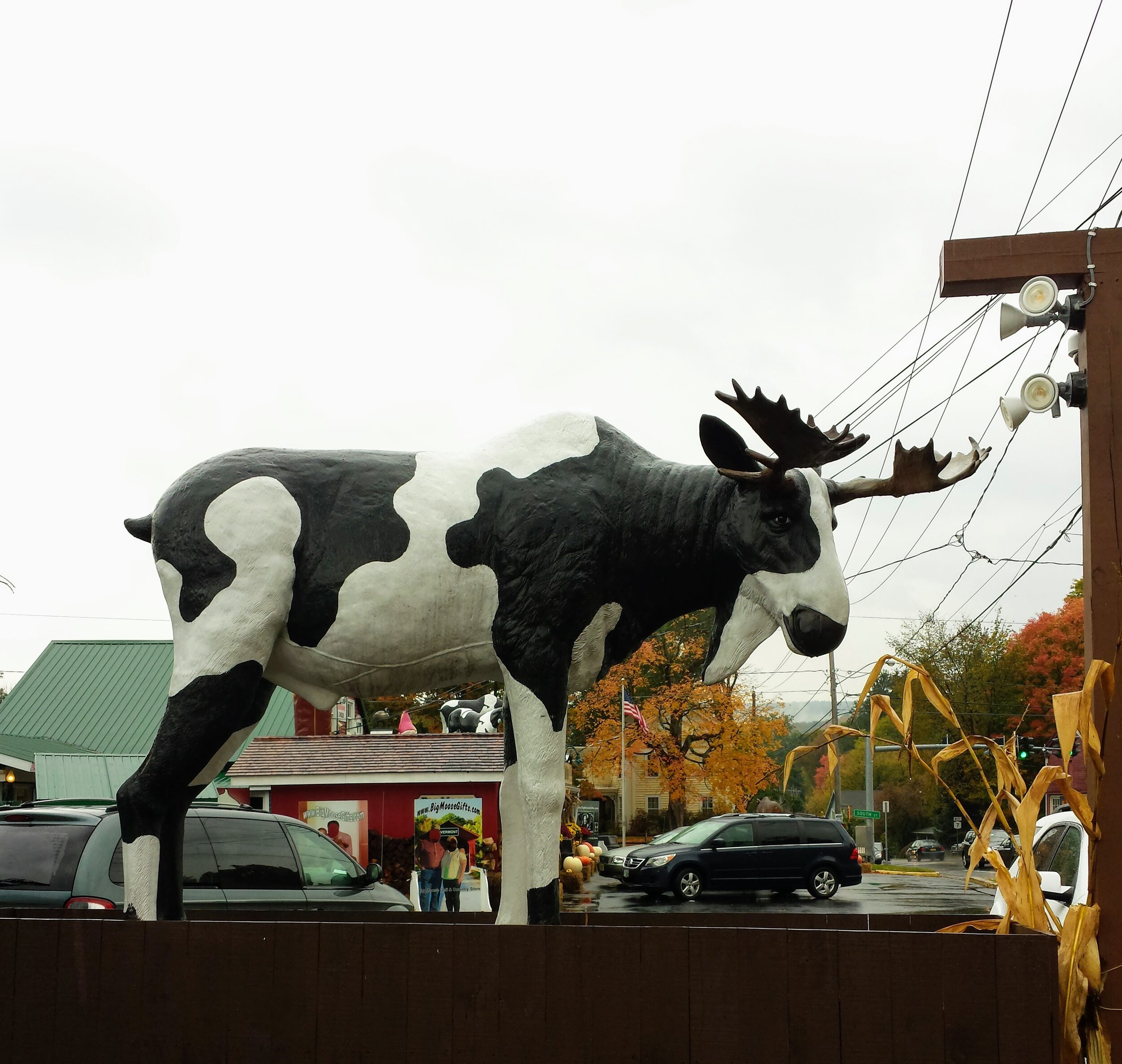 2015-10-09 14.26.15.jpg