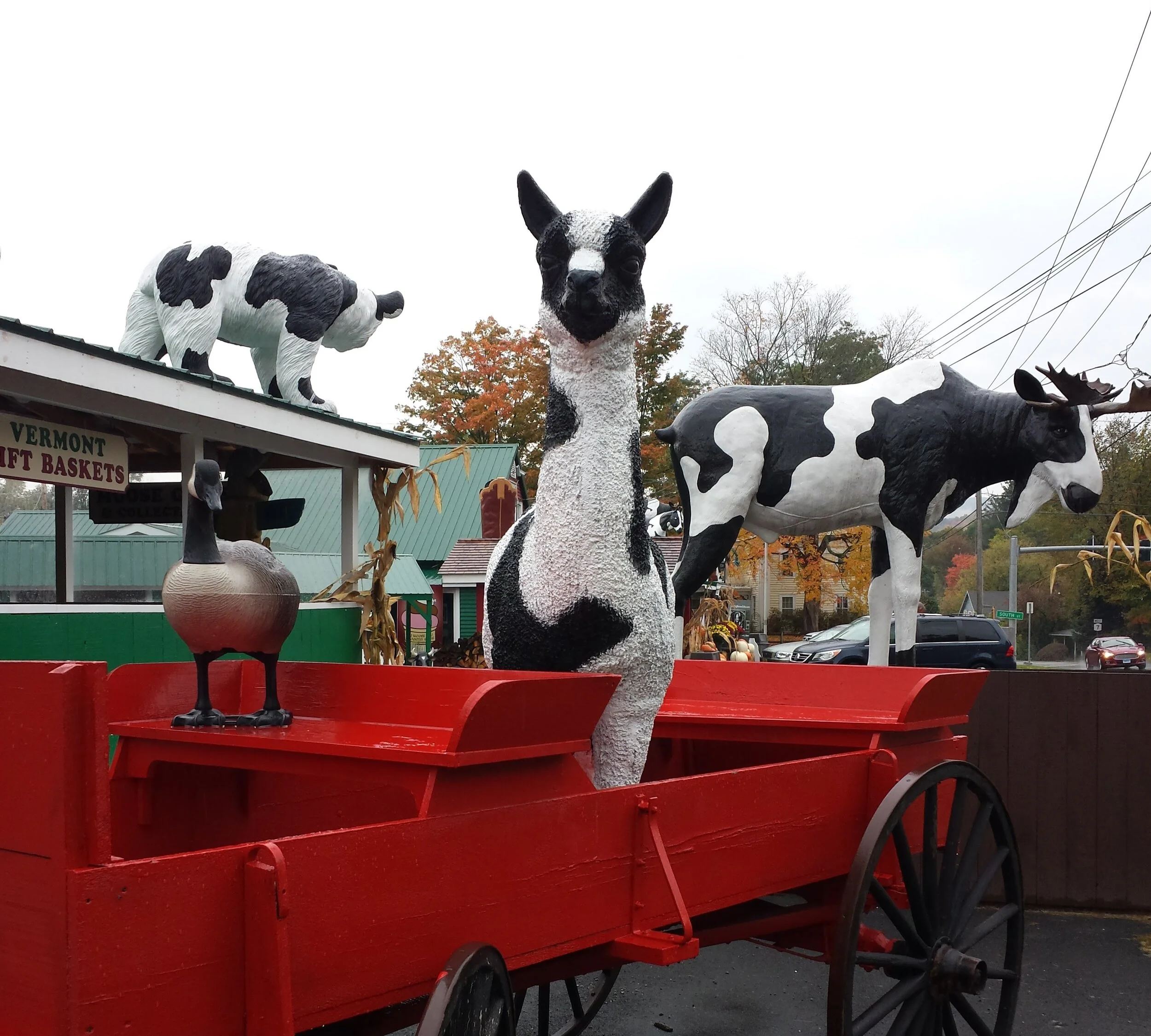 2015-10-09 14.26.33.jpg