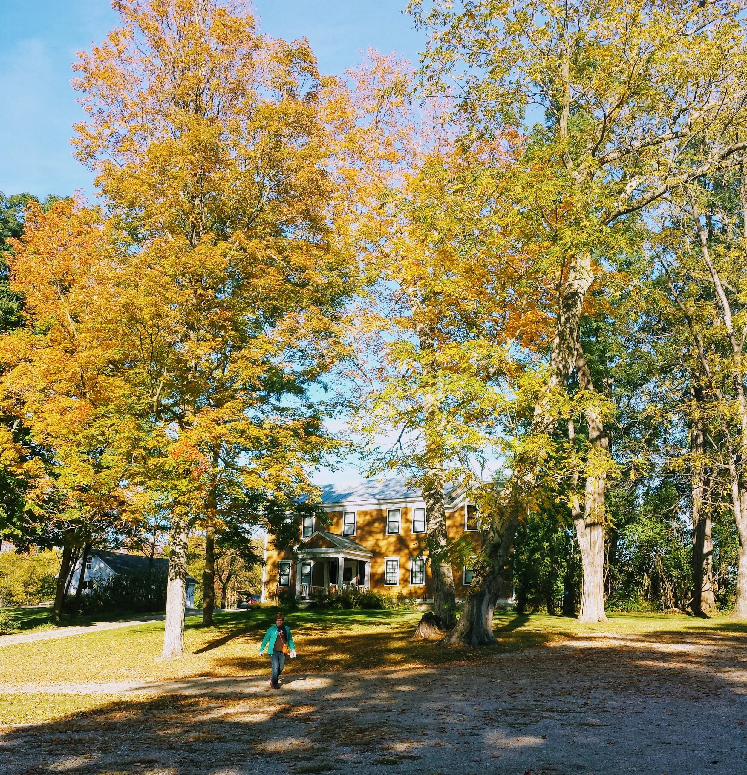 2015-10-10 16.02.43.jpg