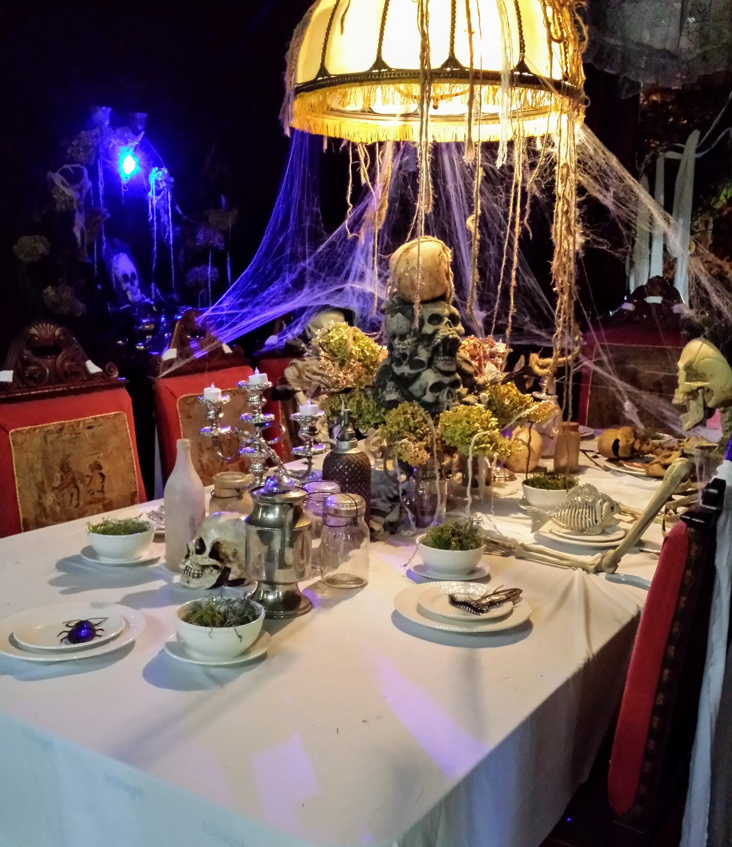 2015-10-11 10.17.12.jpg