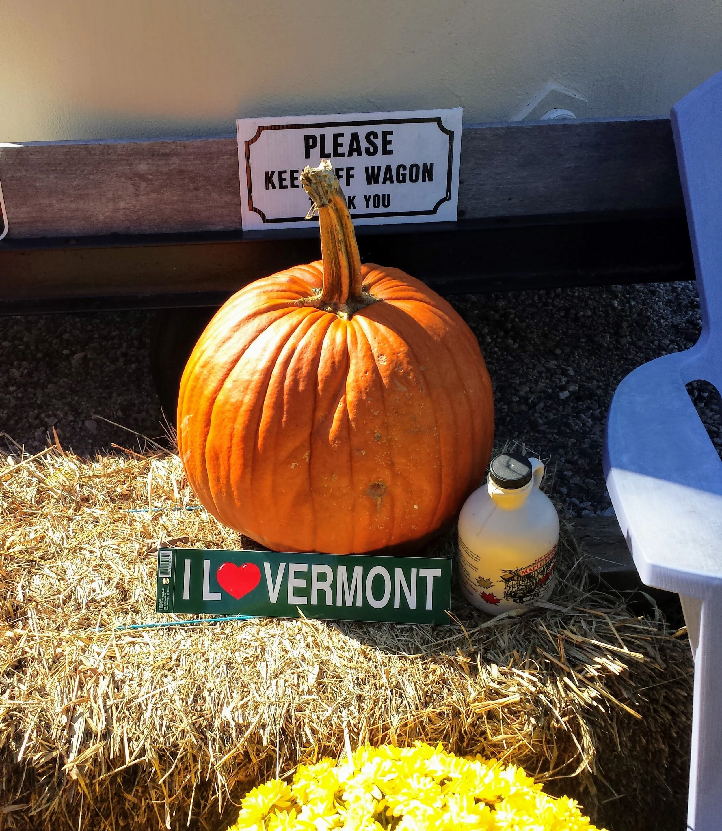 2015-10-11 12.36.22.jpg