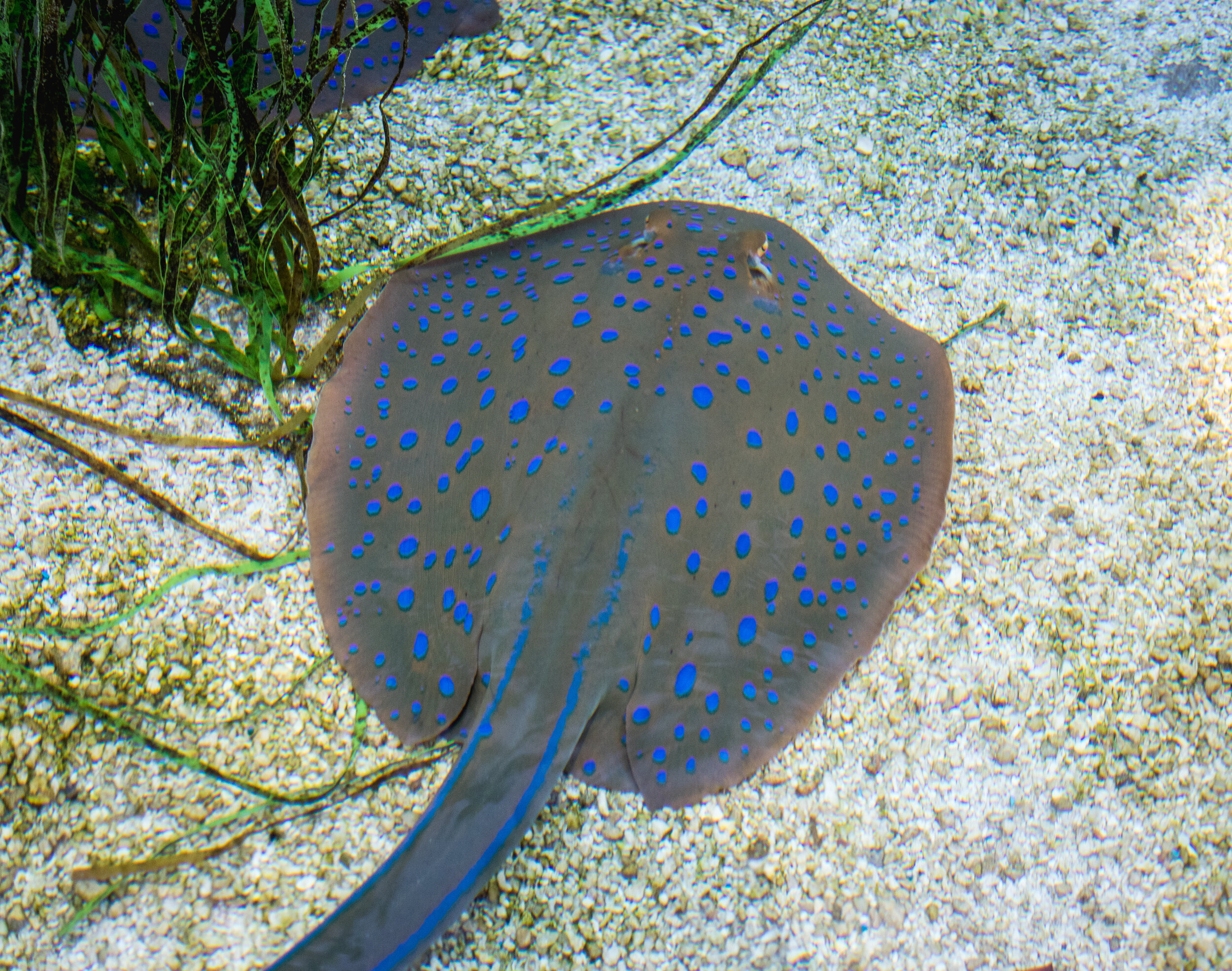 IMG_5788.jpg