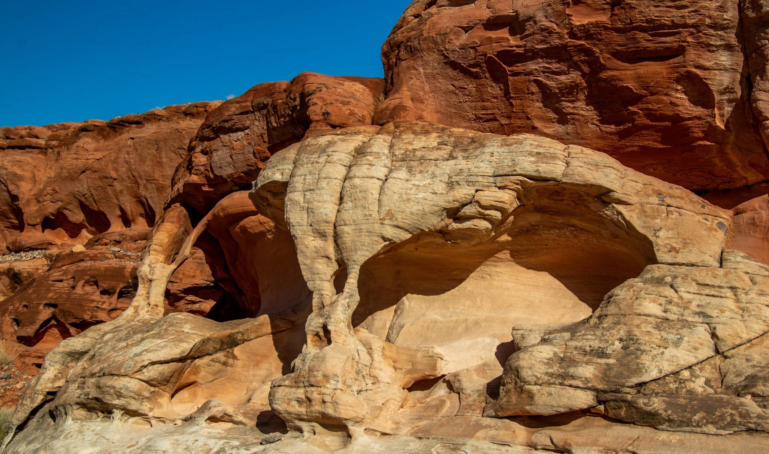 2019-11-22 Valley of Fire-176.jpg