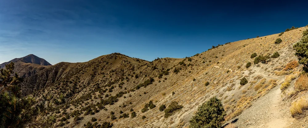 2020-10-04 --- 5.jpg