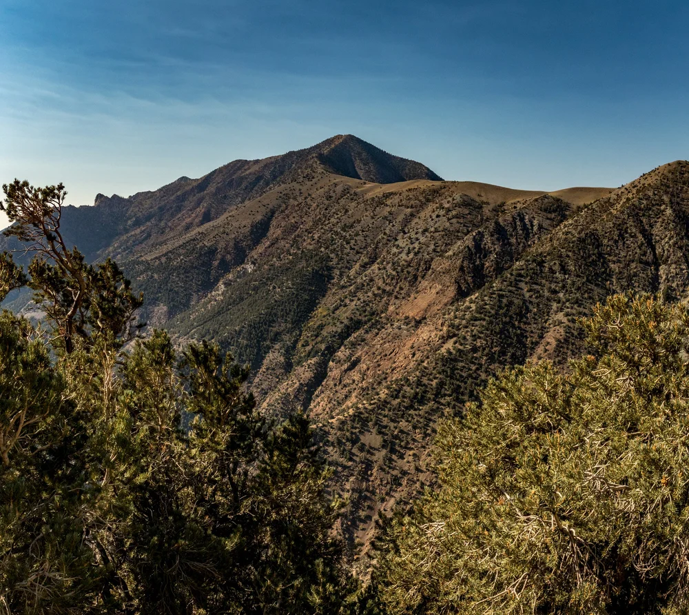 2020-10-04 --- 3.jpg