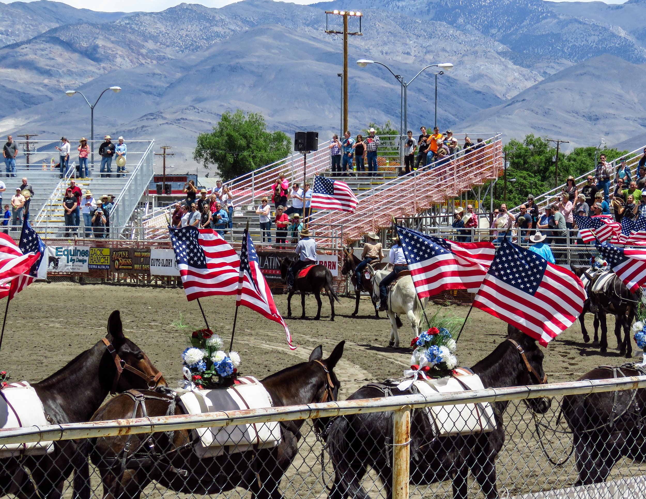 2018-05-26 Mule Days Rodeo Saturday Afternoon --- 204.jpg