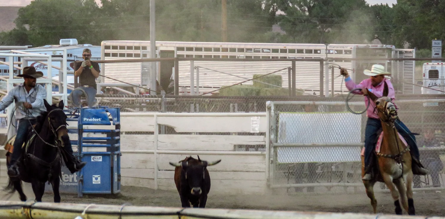 Mule Days Rodeo - Friday — Saunter Thru Life