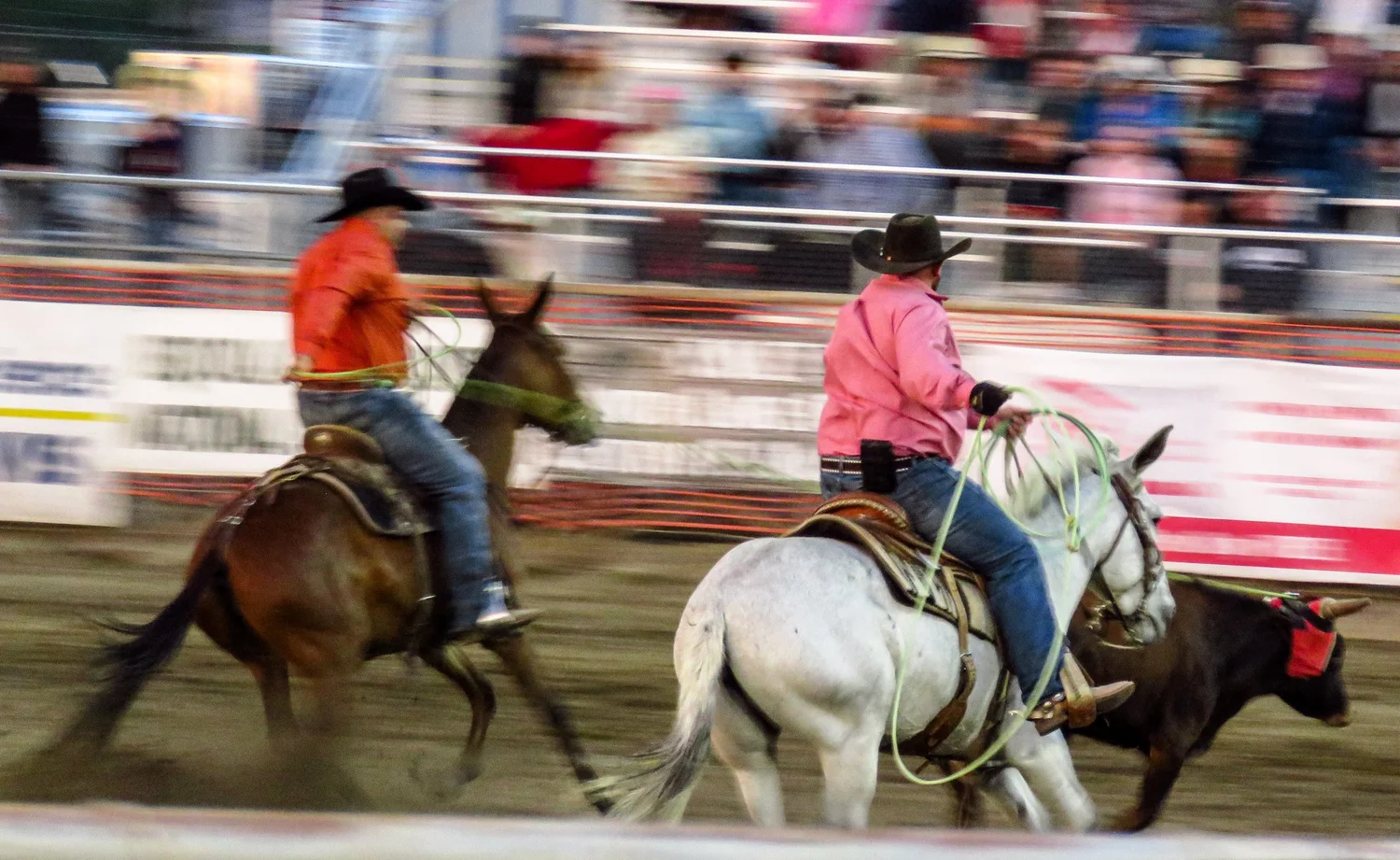 Mule Days Rodeo - Friday — Saunter Thru Life