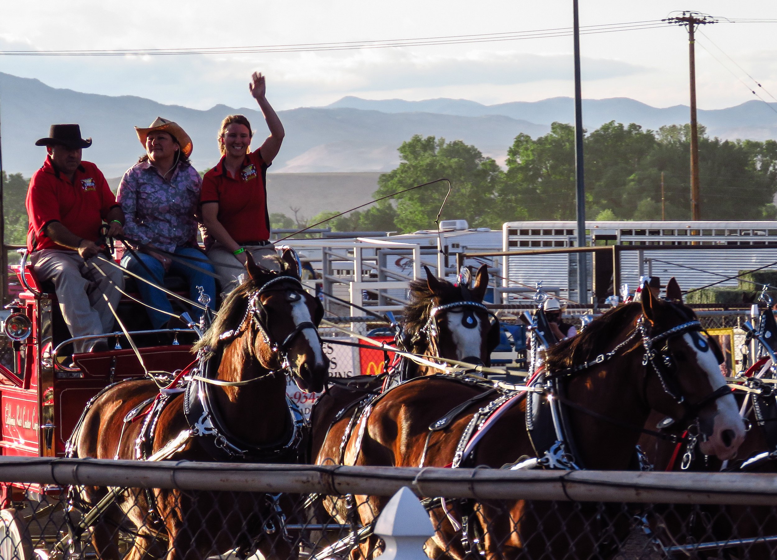 Mule Days Rodeo - Friday — Saunter Thru Life