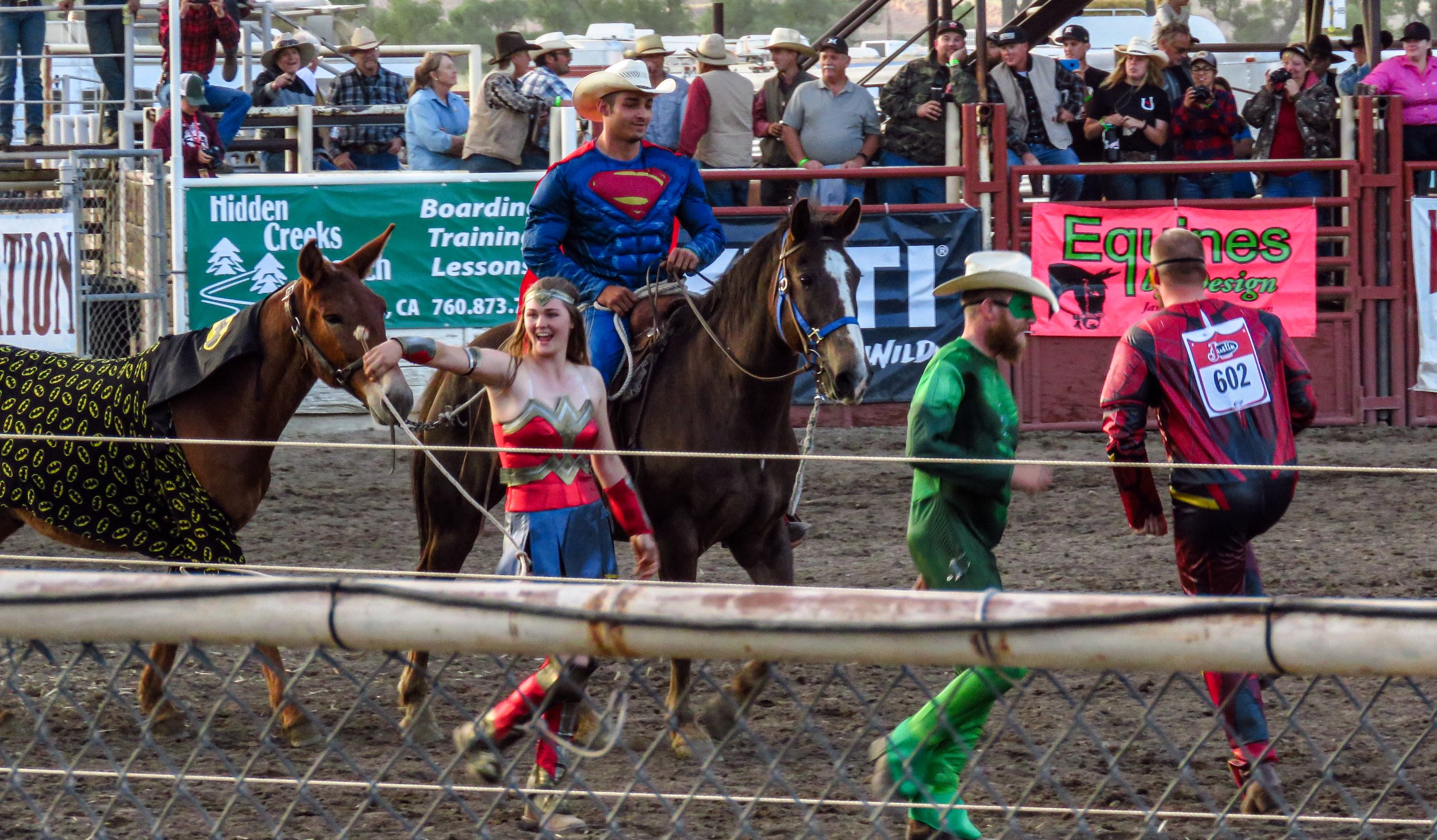 Mule Days Rodeo - Friday — Saunter Thru Life