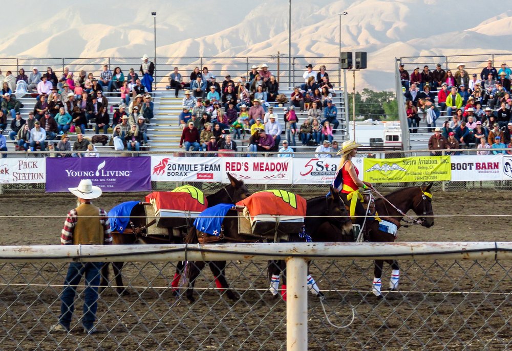 Mule Days Rodeo - Friday — Saunter Thru Life