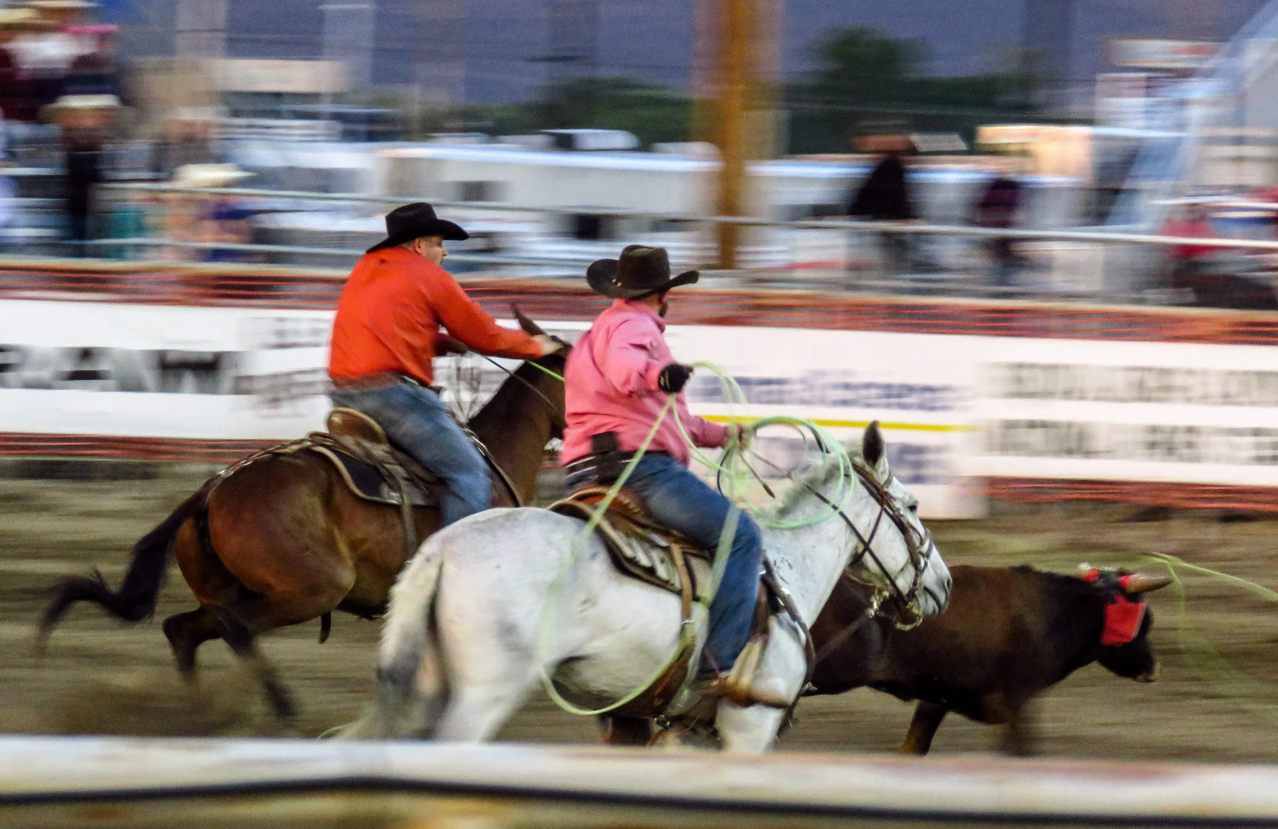 Mule Days Rodeo - Friday — Saunter Thru Life