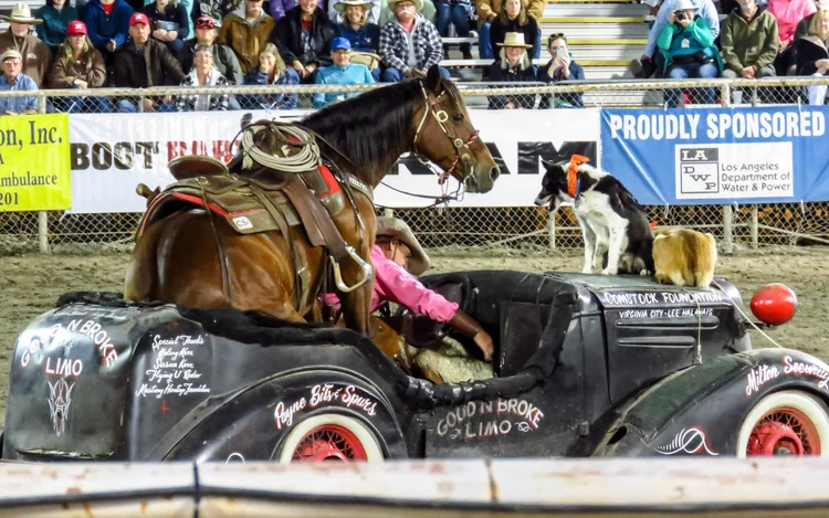 Mule Days Rodeo - Friday — Saunter Thru Life