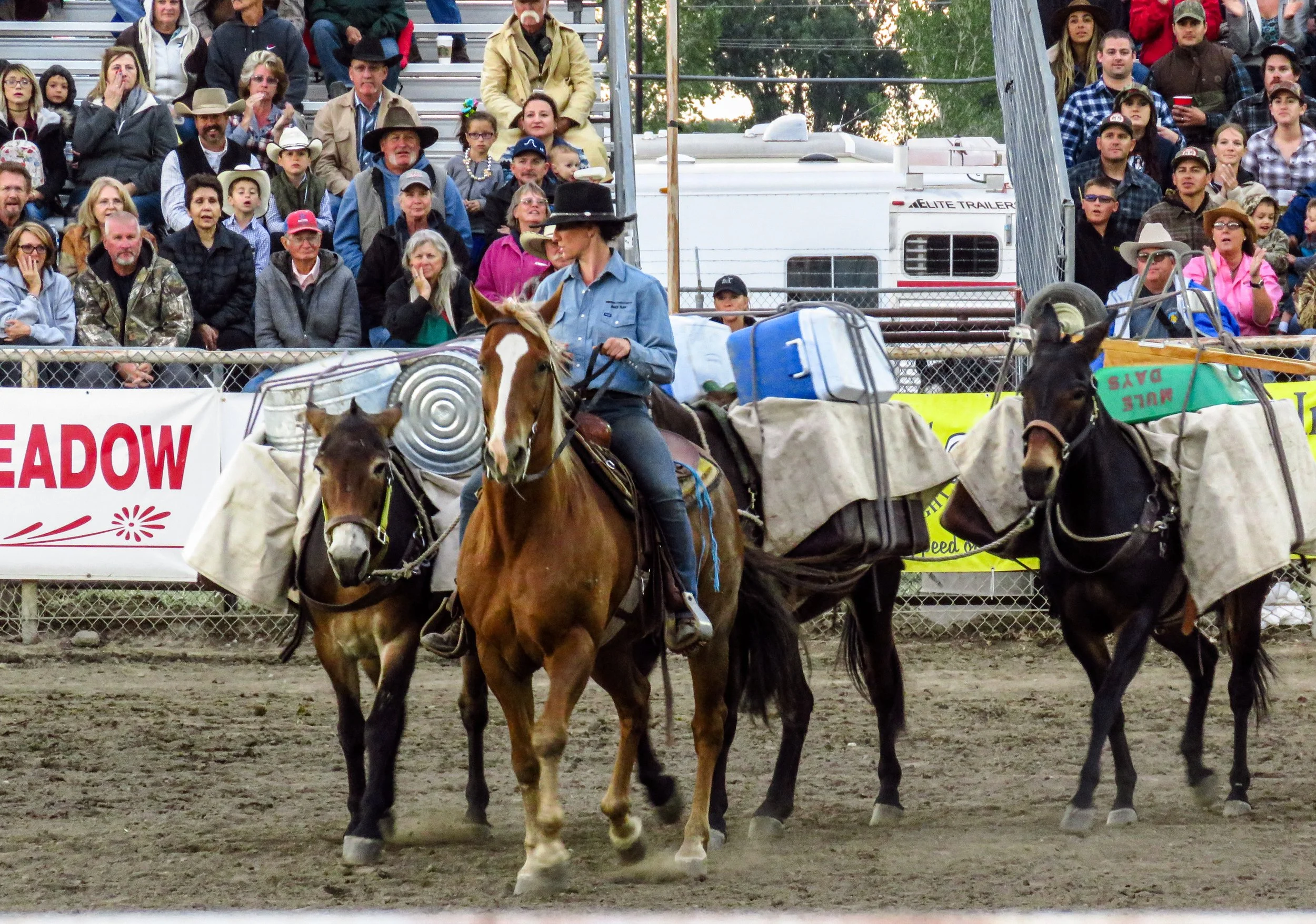 2018-05-26 Mule Days Rodeo Saturday Evening --- 314.jpg
