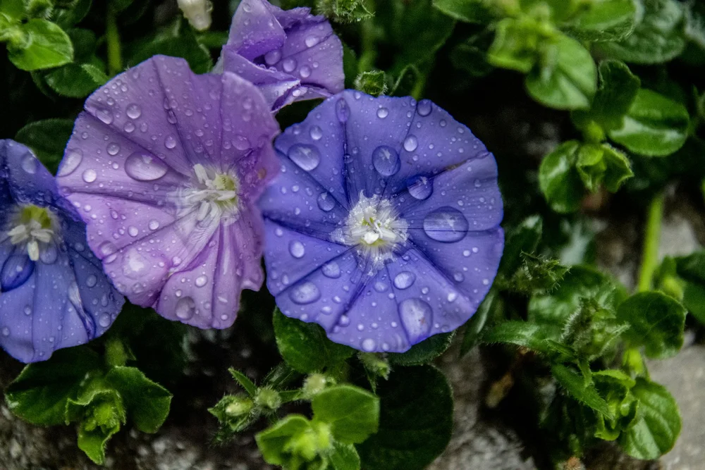 2020-03-12 --- 2.jpg