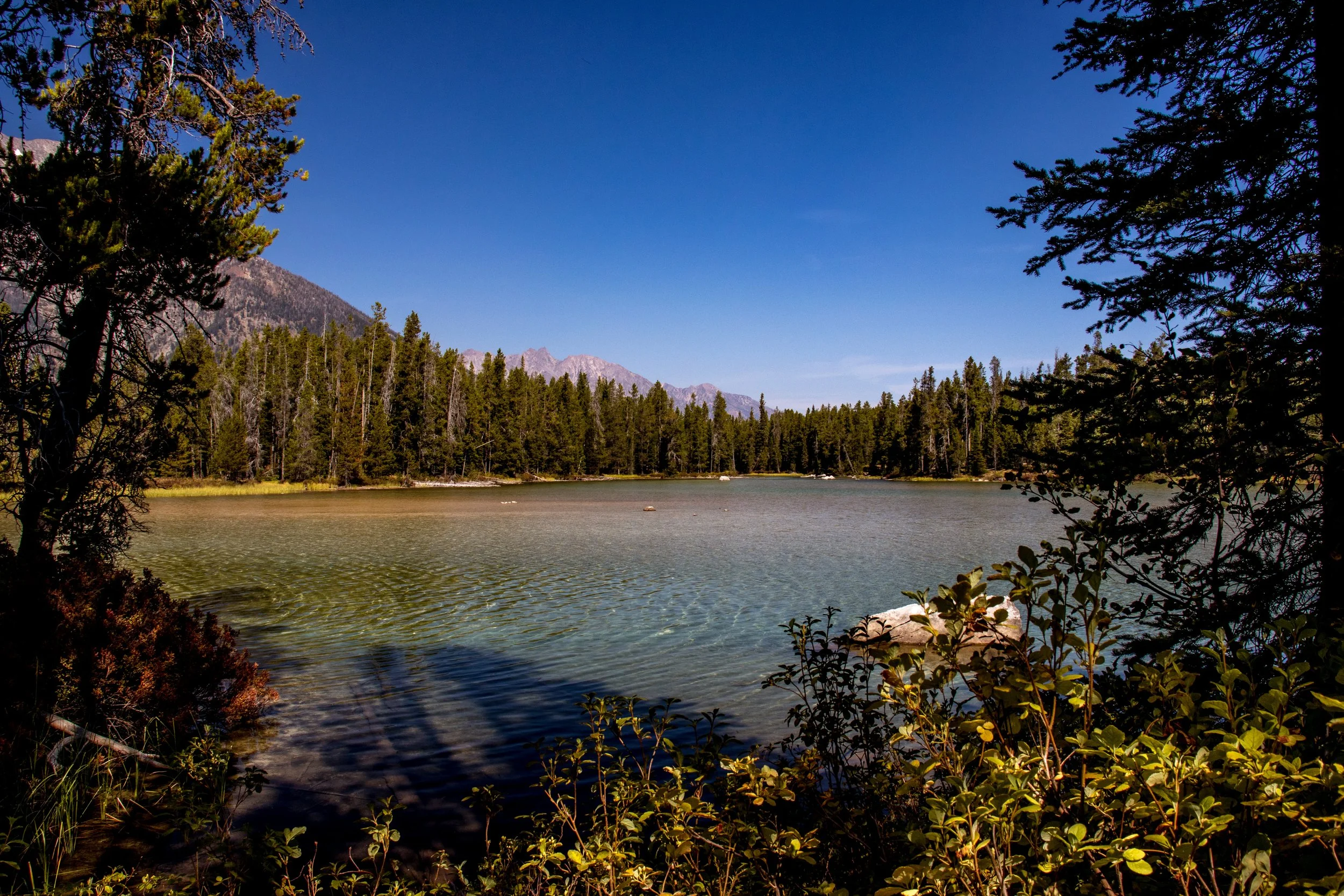 2018-09-11 Grand Tetons NP --- 59.jpg