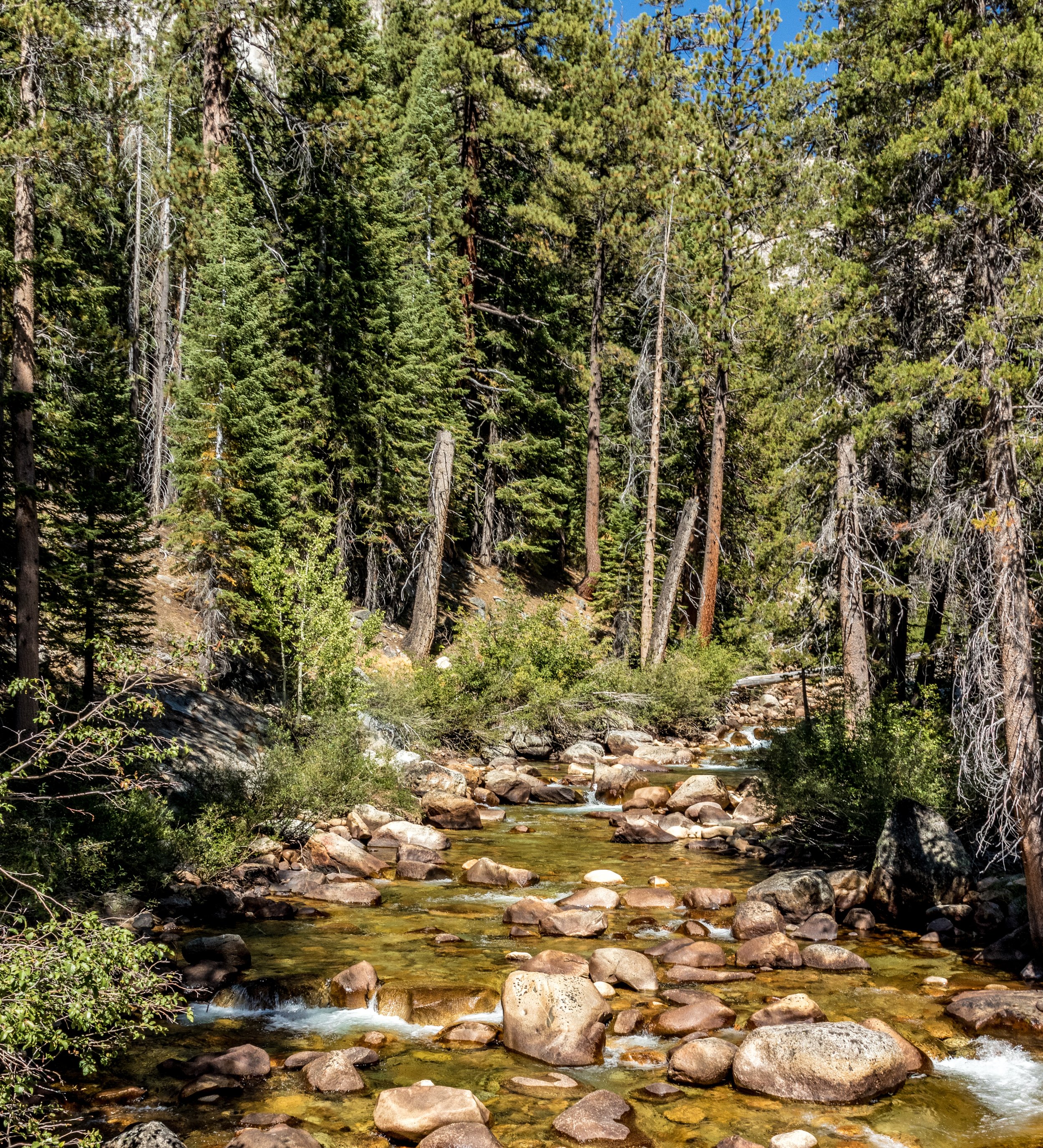 2019-09-21 --- 18.jpg