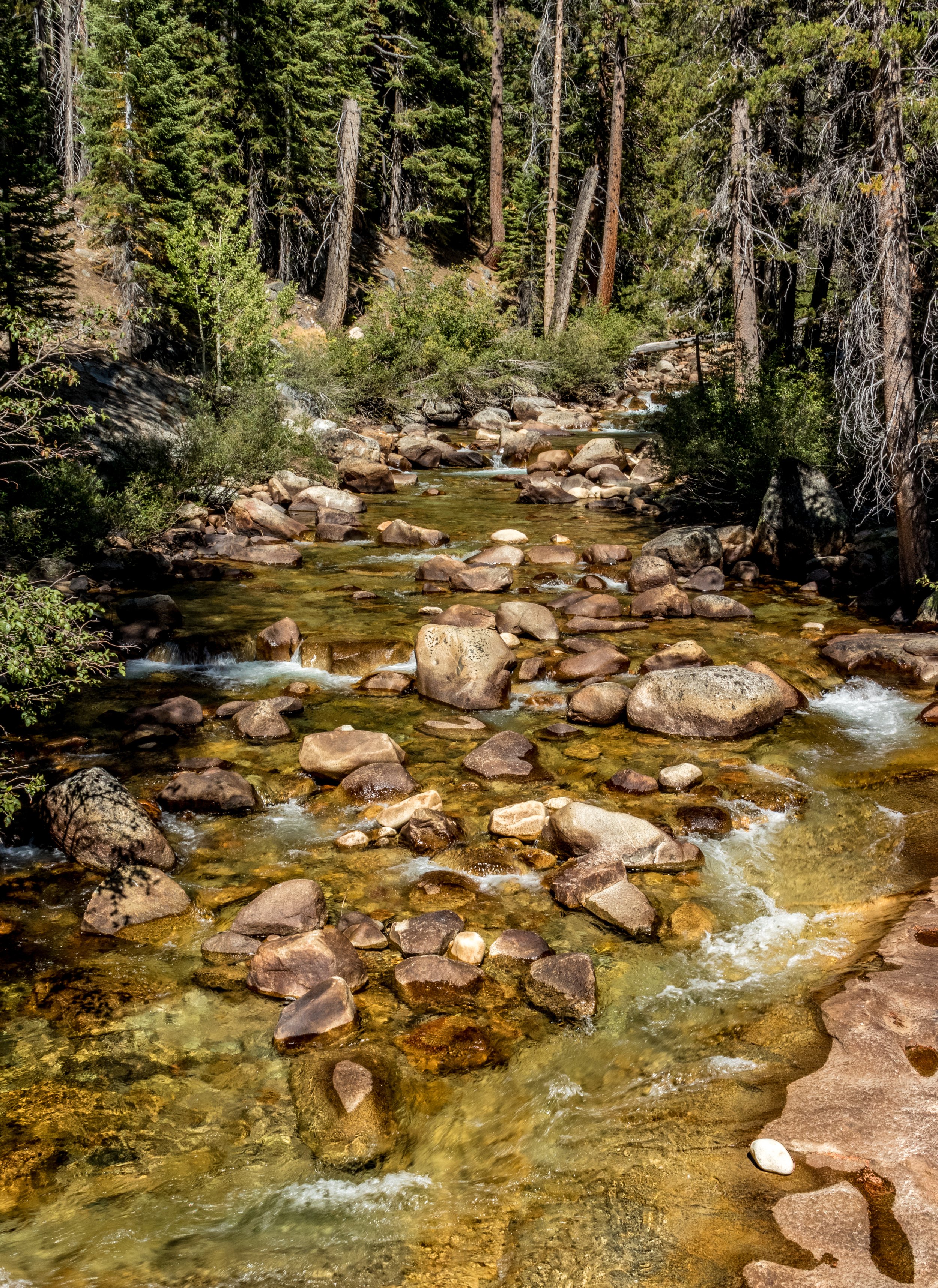 2019-09-21 --- 19.jpg