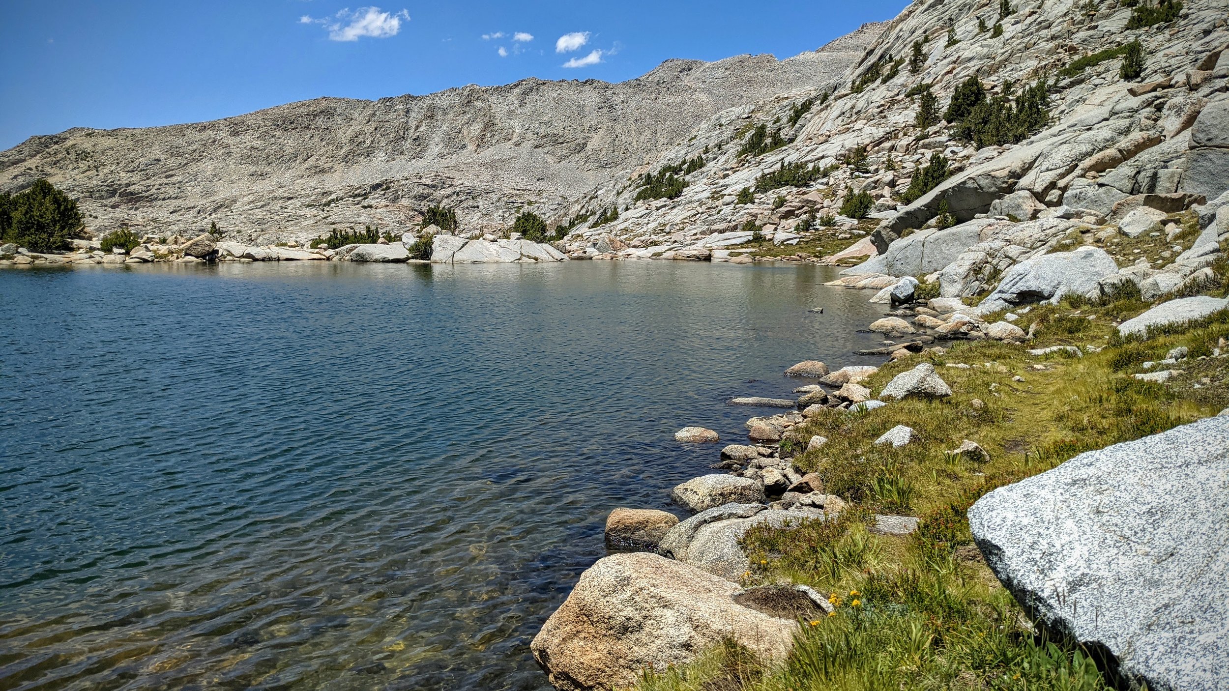 PXL_20210804_201334174.MP.jpg