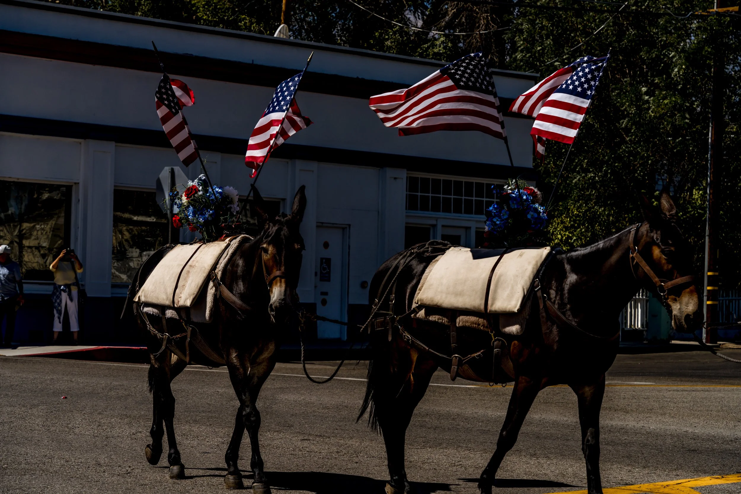 2021-07-04 --- 39.jpg