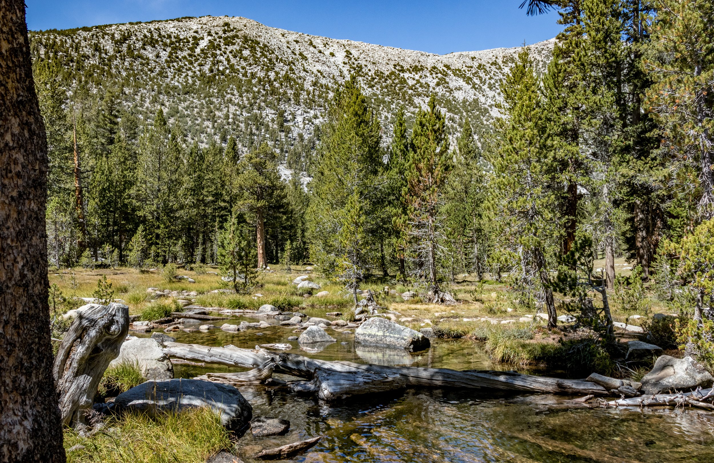 2019-09-20 --- 14.jpg