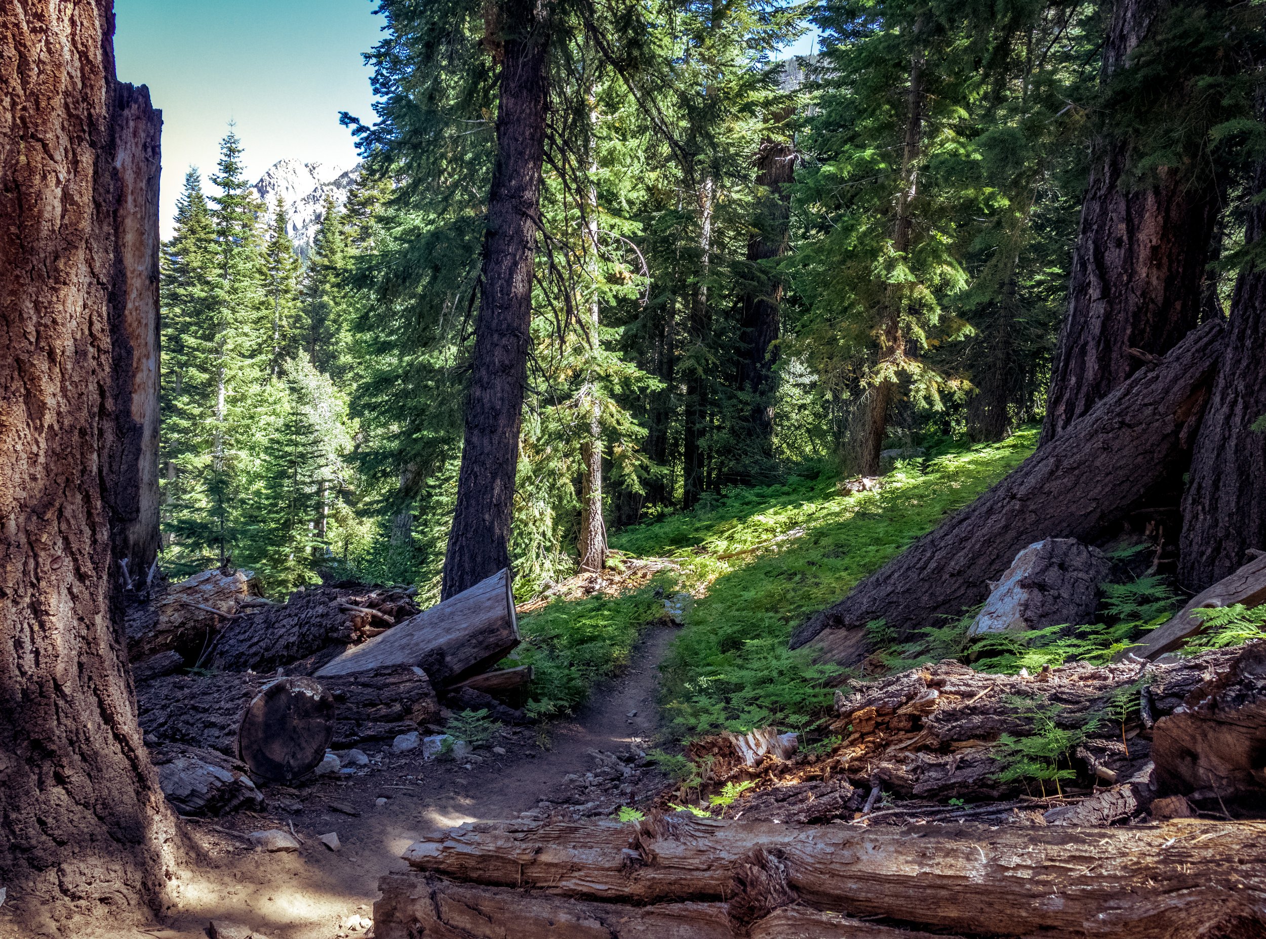 2019-09-21 --- 15.jpg