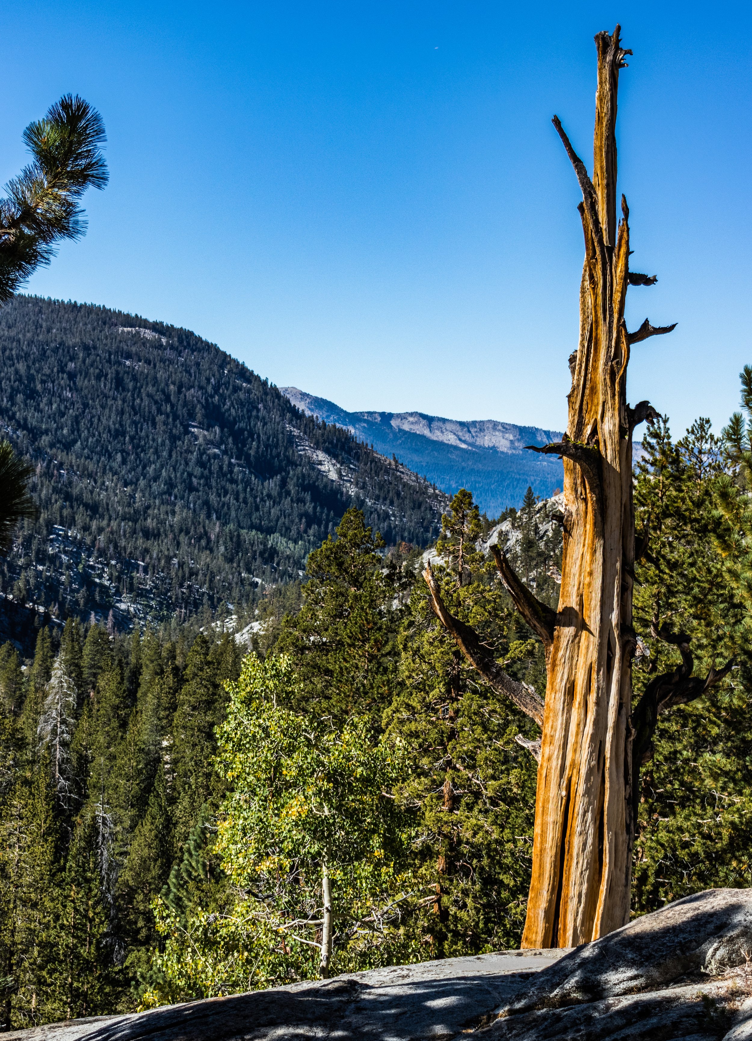 2019-09-21 --- 6.jpg