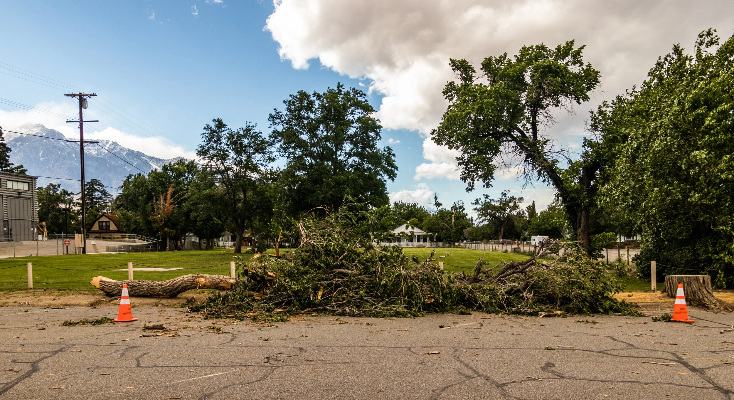 2019-05-16 Wind Storm-409.jpg