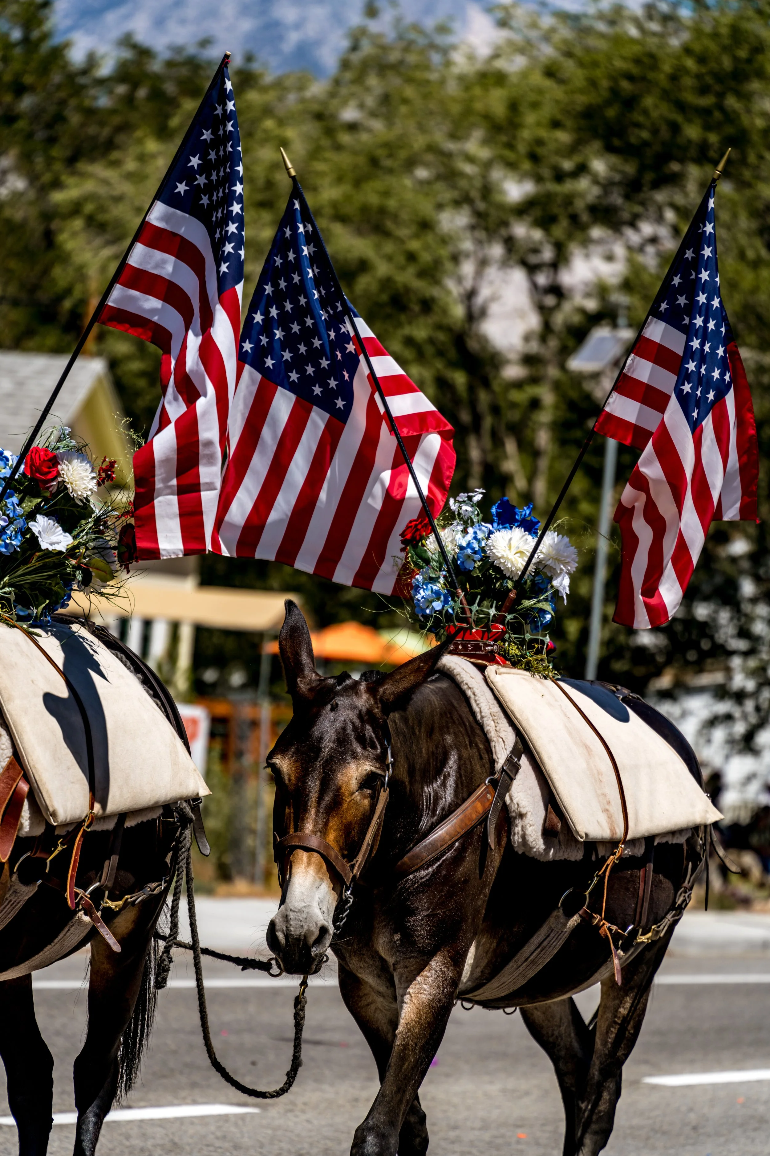 2021-07-04 --- 98.jpg