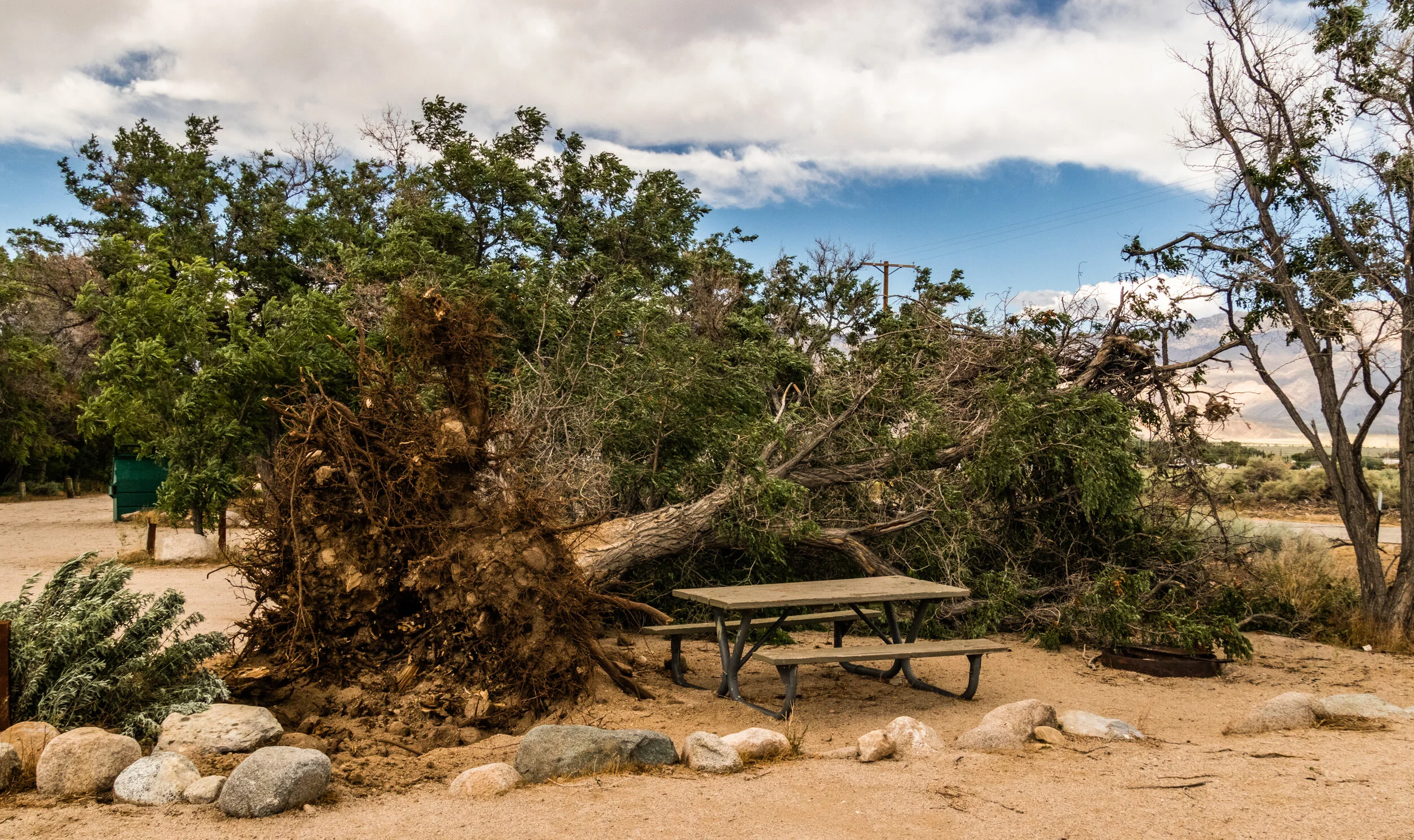 2019-05-16 Wind Storm-417.jpg