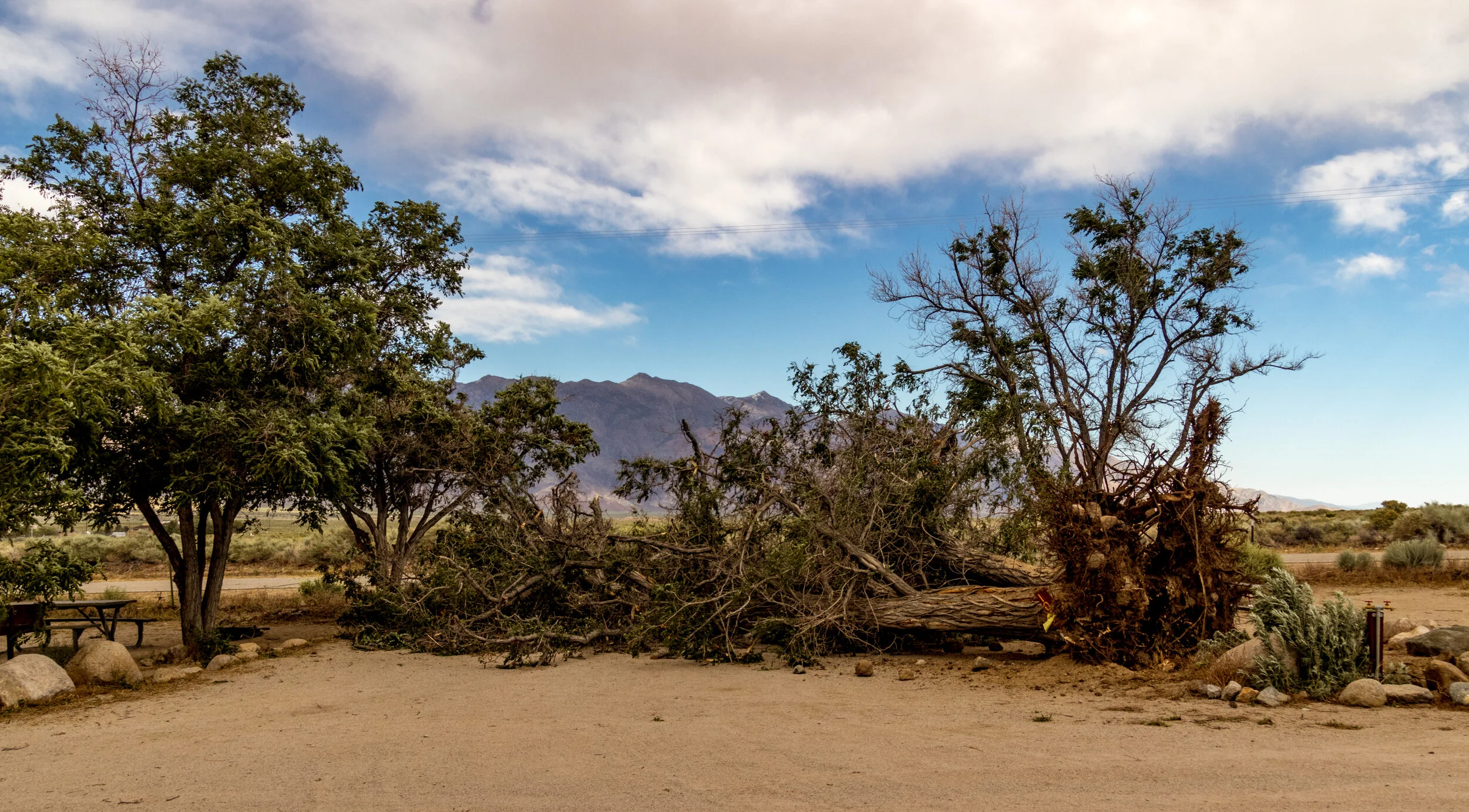 2019-05-16 Wind Storm-416.jpg