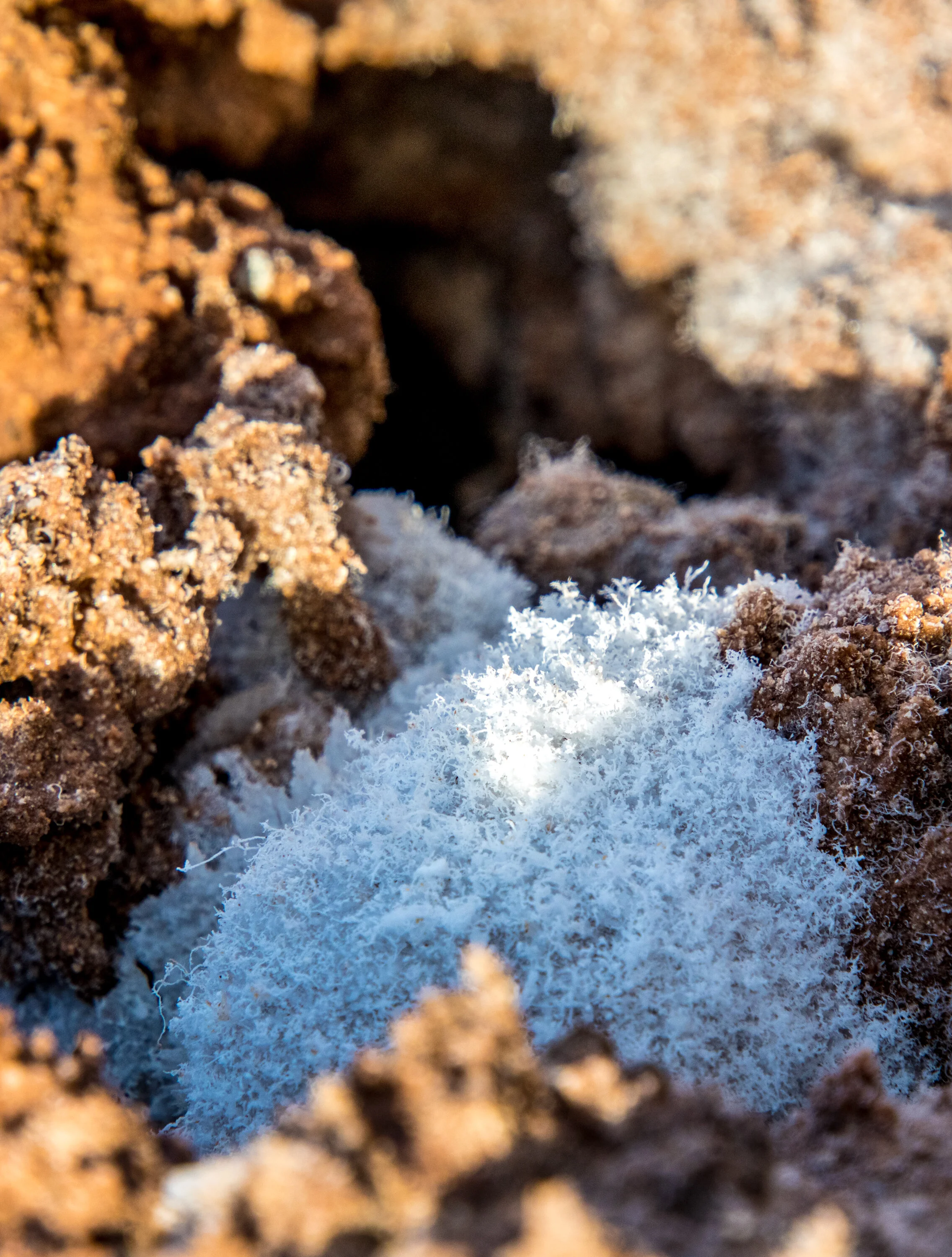 2019-11-21 Death Valley-38.jpg