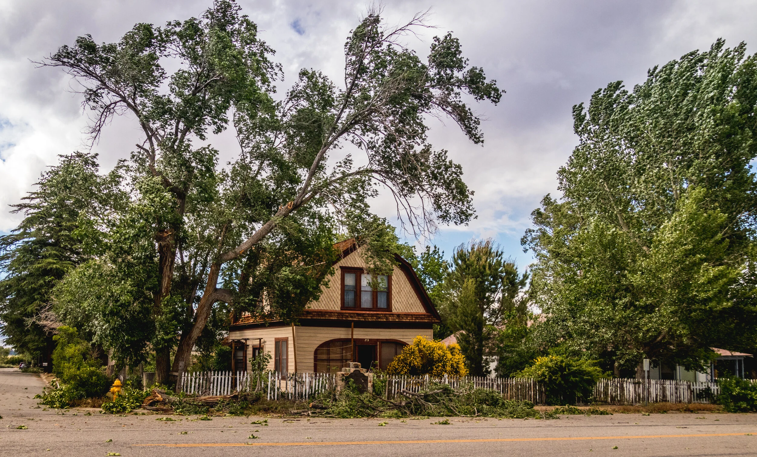 2019-05-16 Wind Storm-413.jpg